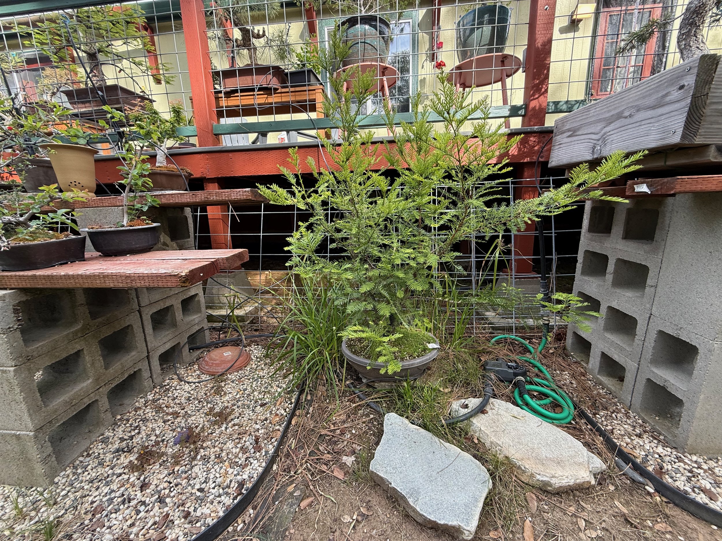 2026_04_09_Garden - 5.jpeg