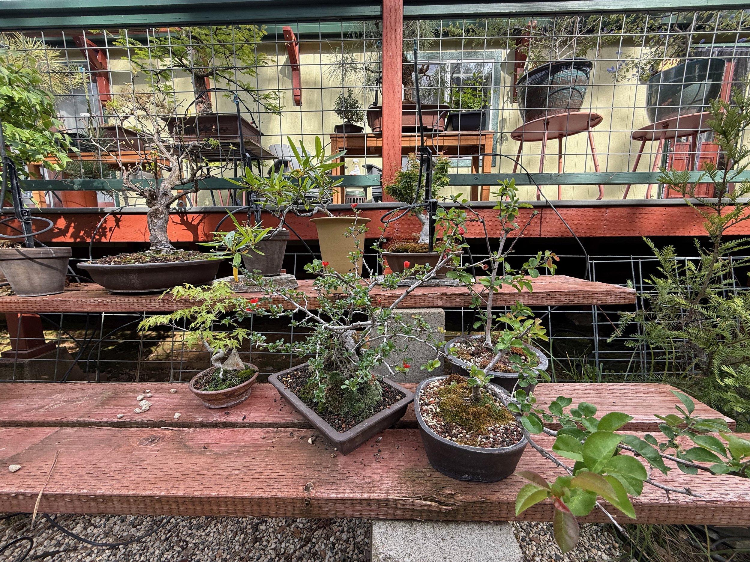 2026_04_09_Garden - 6.jpeg