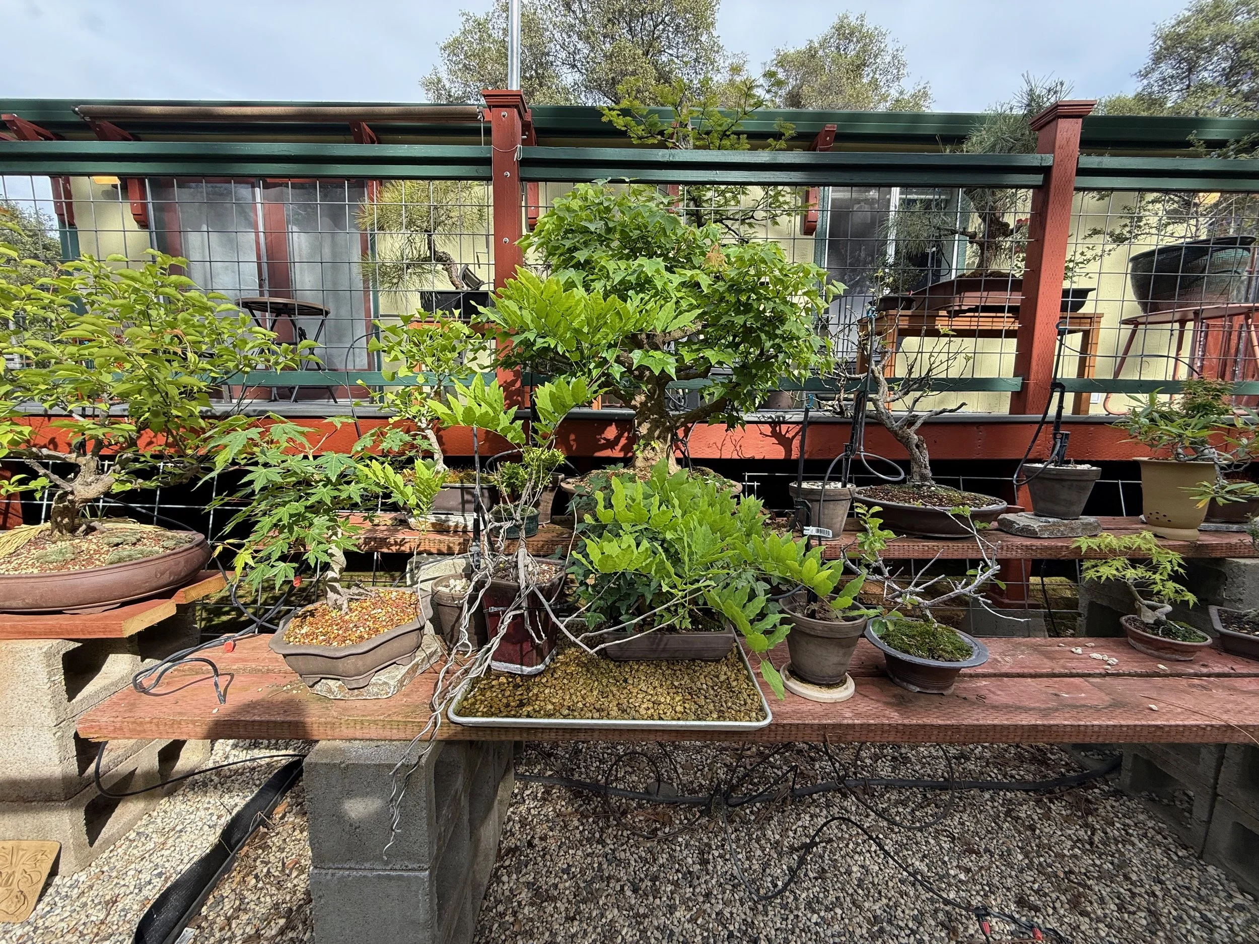 2026_04_09_Garden - 7.jpeg