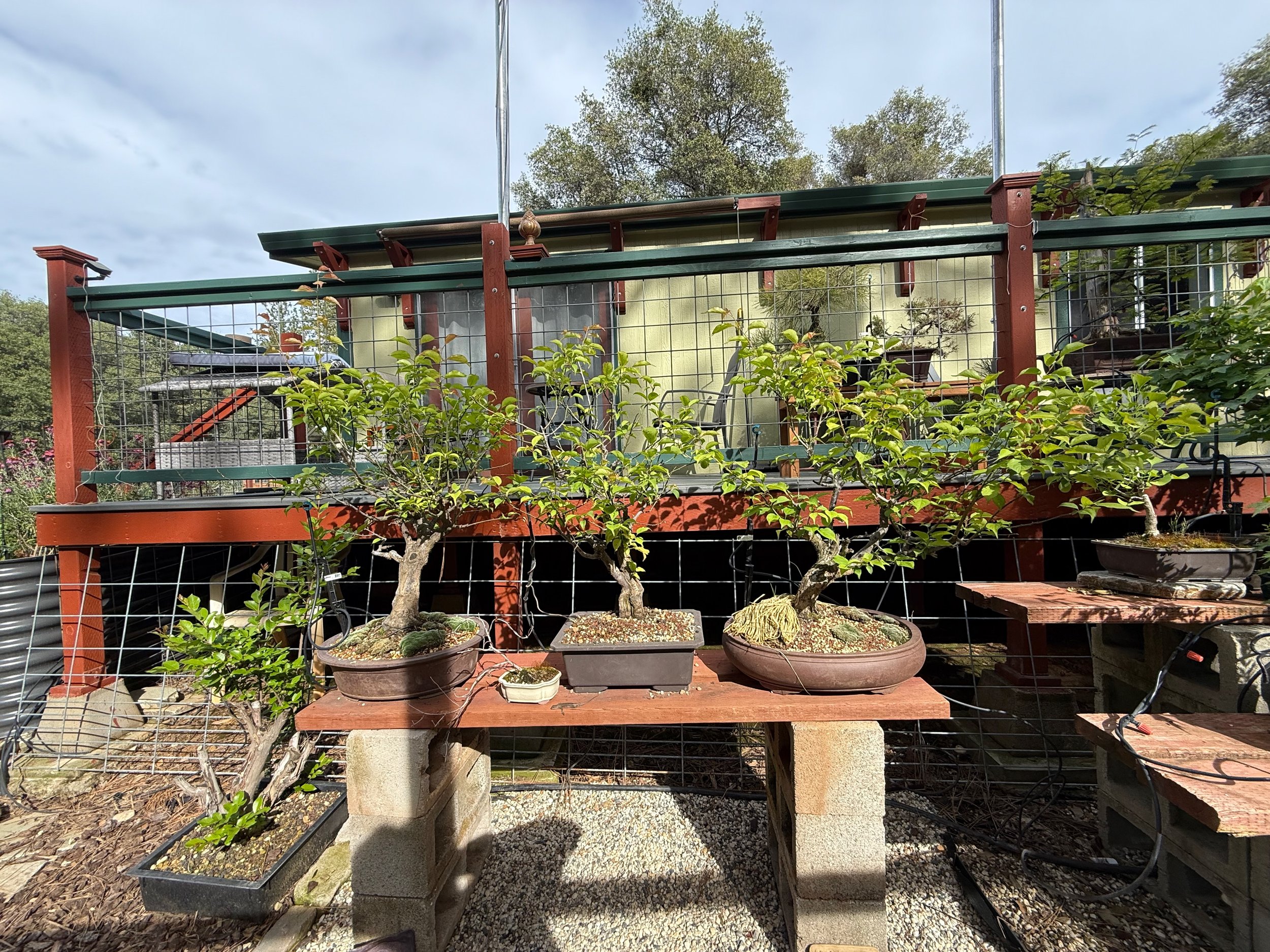 2026_04_09_Garden - 8.jpeg