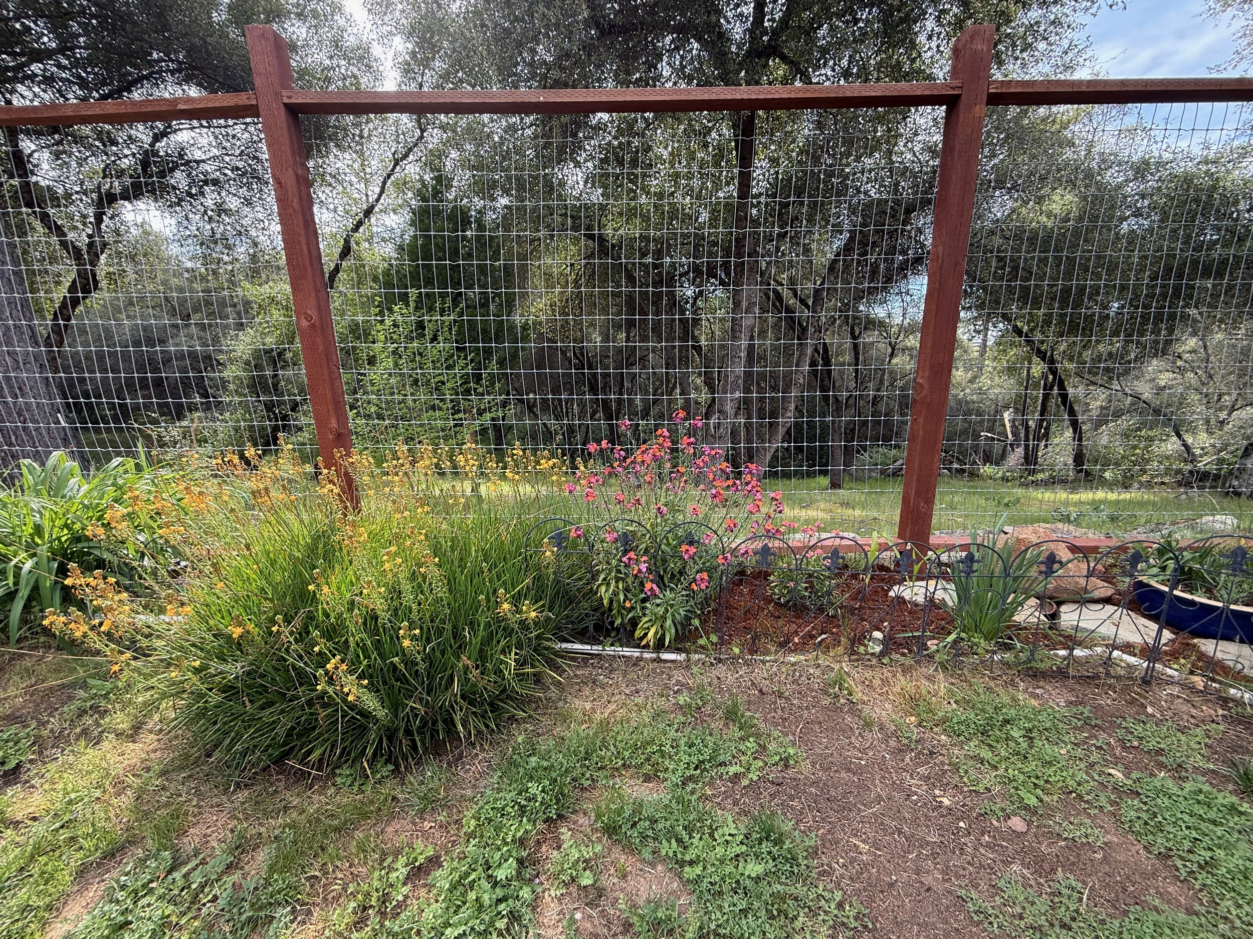 2026_04_09_Garden - 9.jpeg