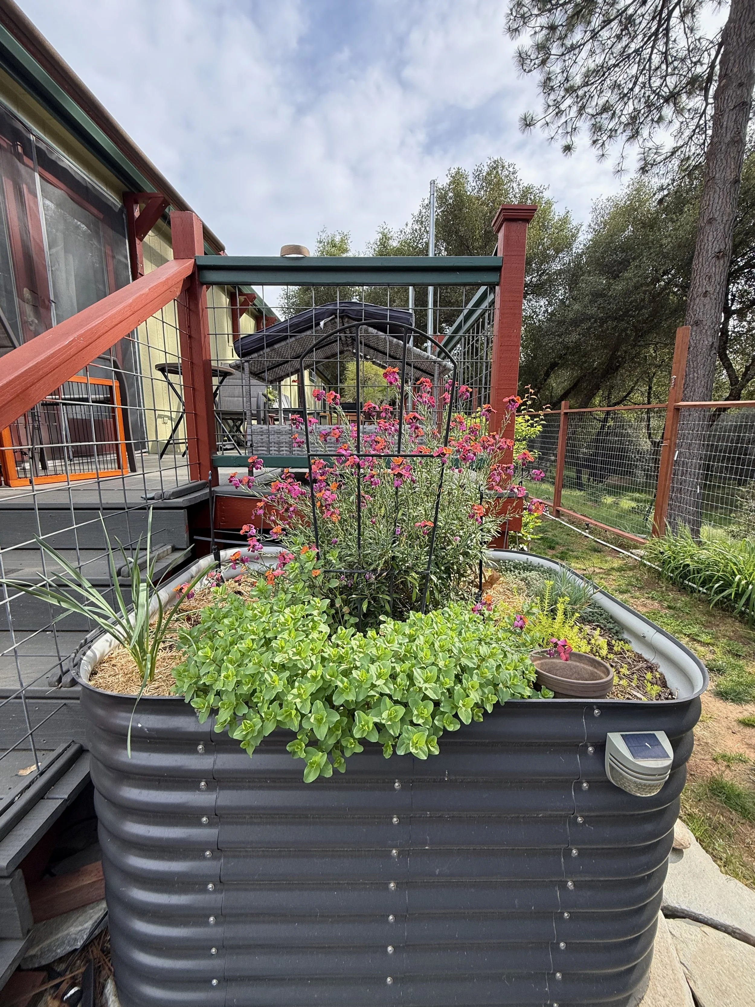 2026_04_09_Garden - 12.jpeg