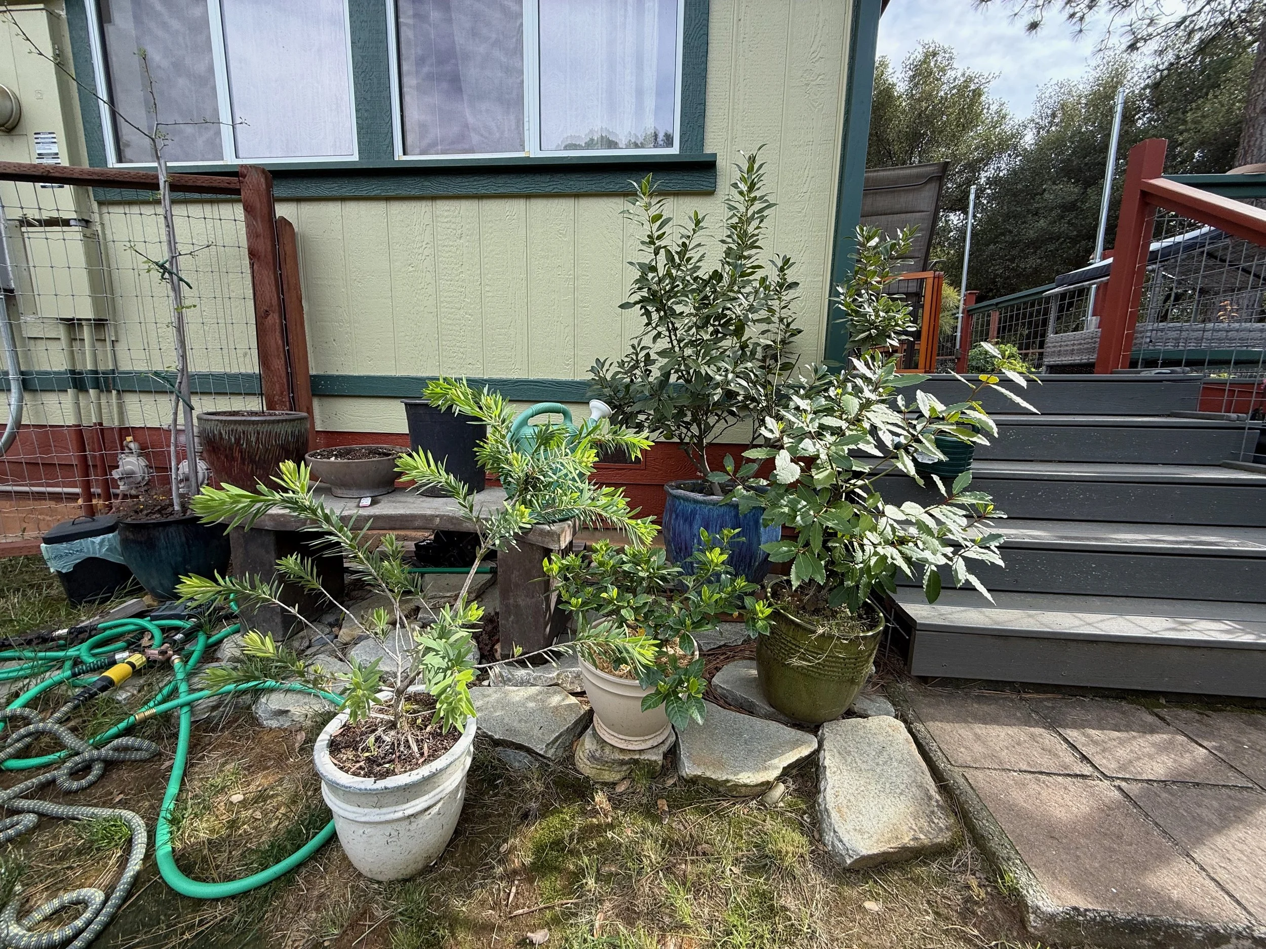 2026_04_09_Garden - 14.jpeg