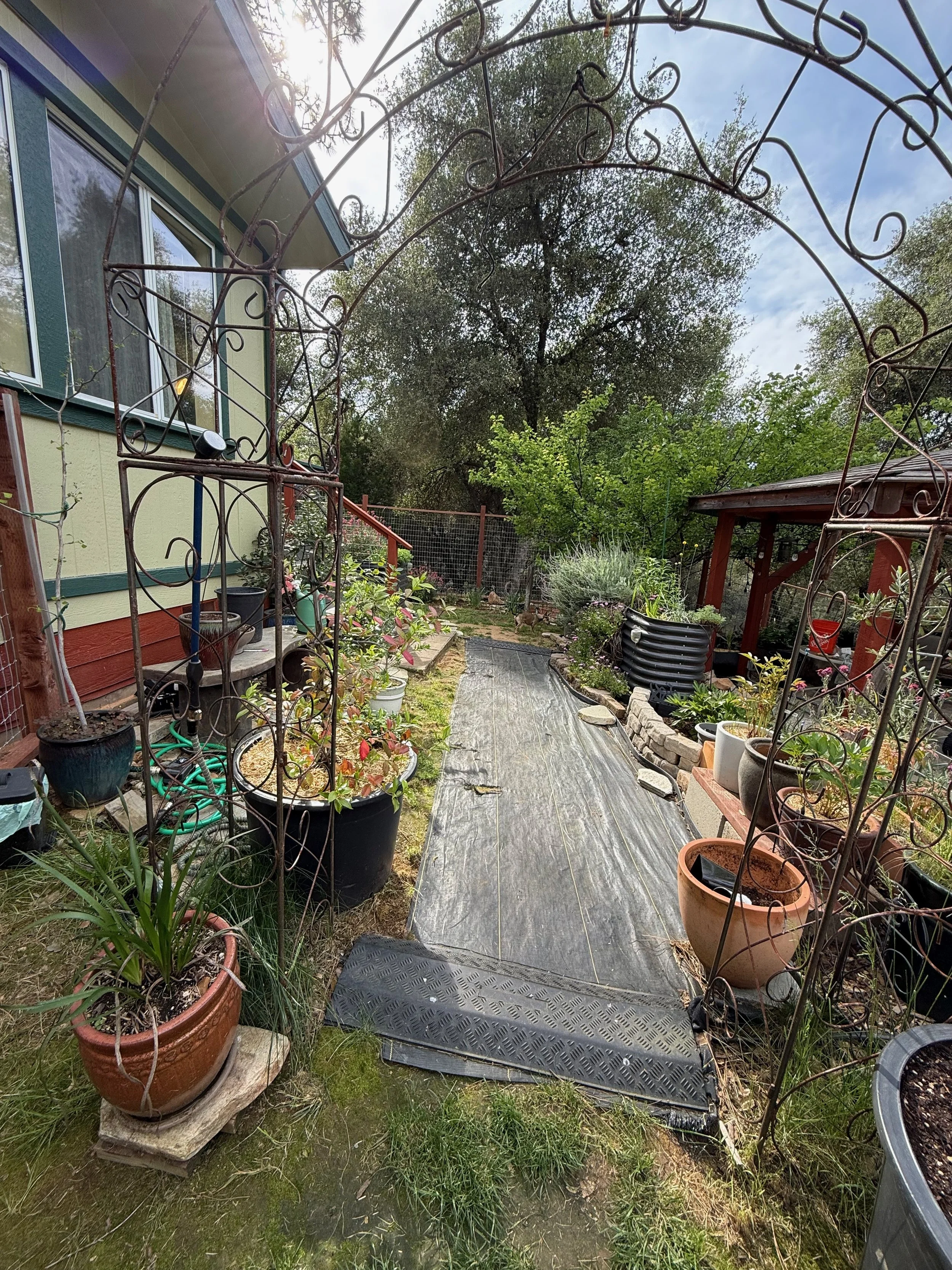 2026_04_09_Garden - 17.jpeg