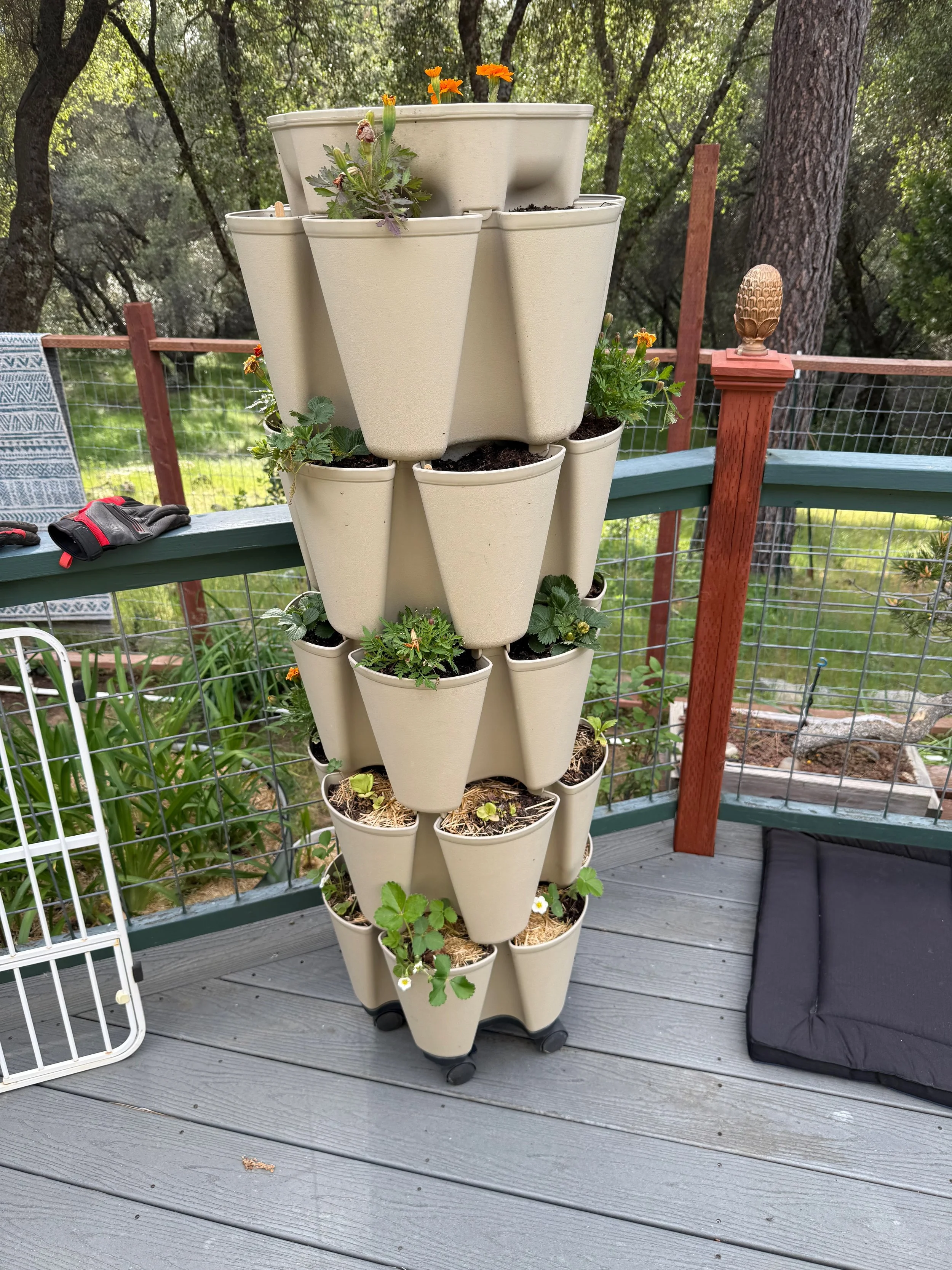 2026_04_09_Garden - 18.jpeg