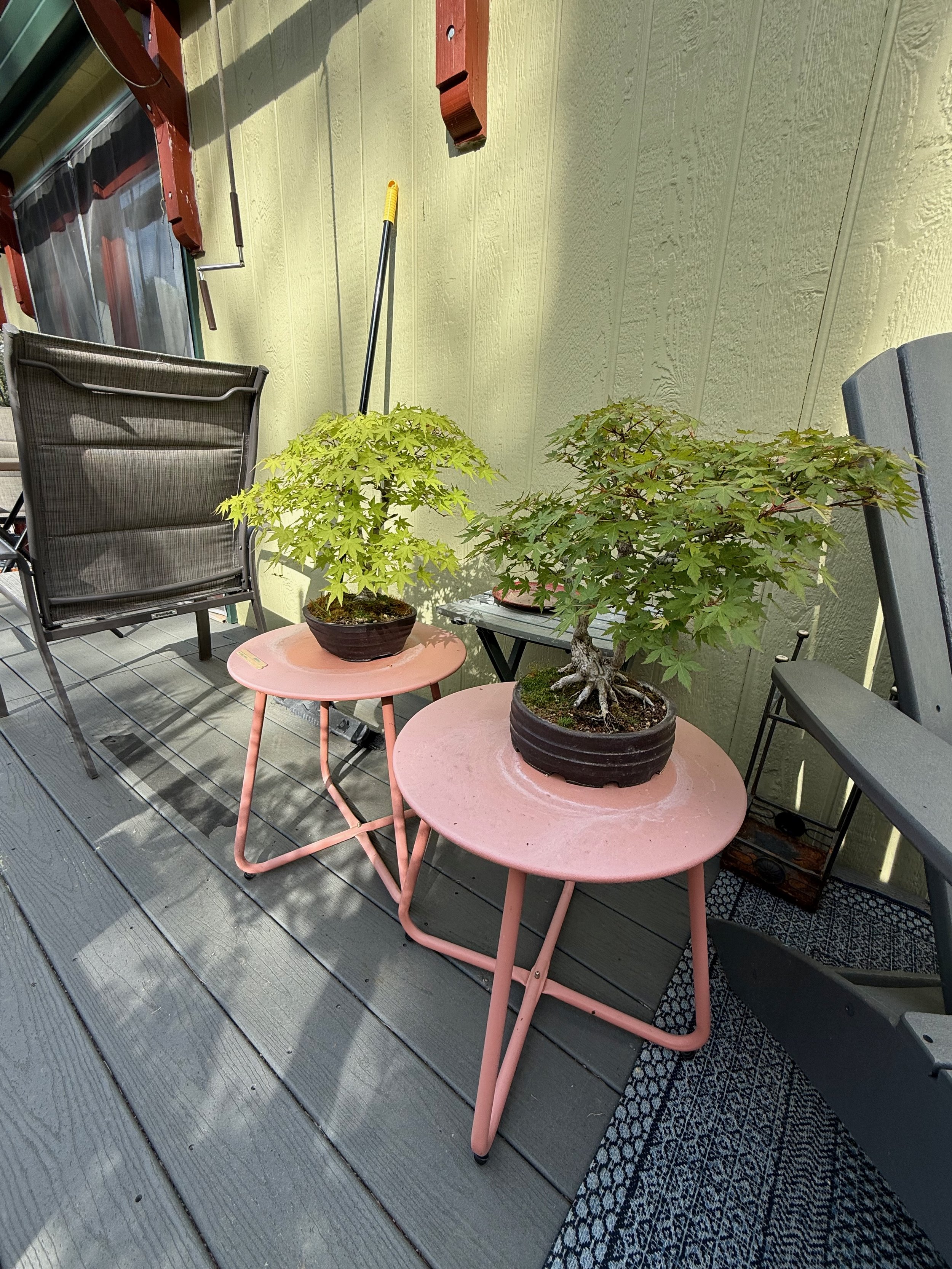 2026_04_09_Garden - 22.jpeg