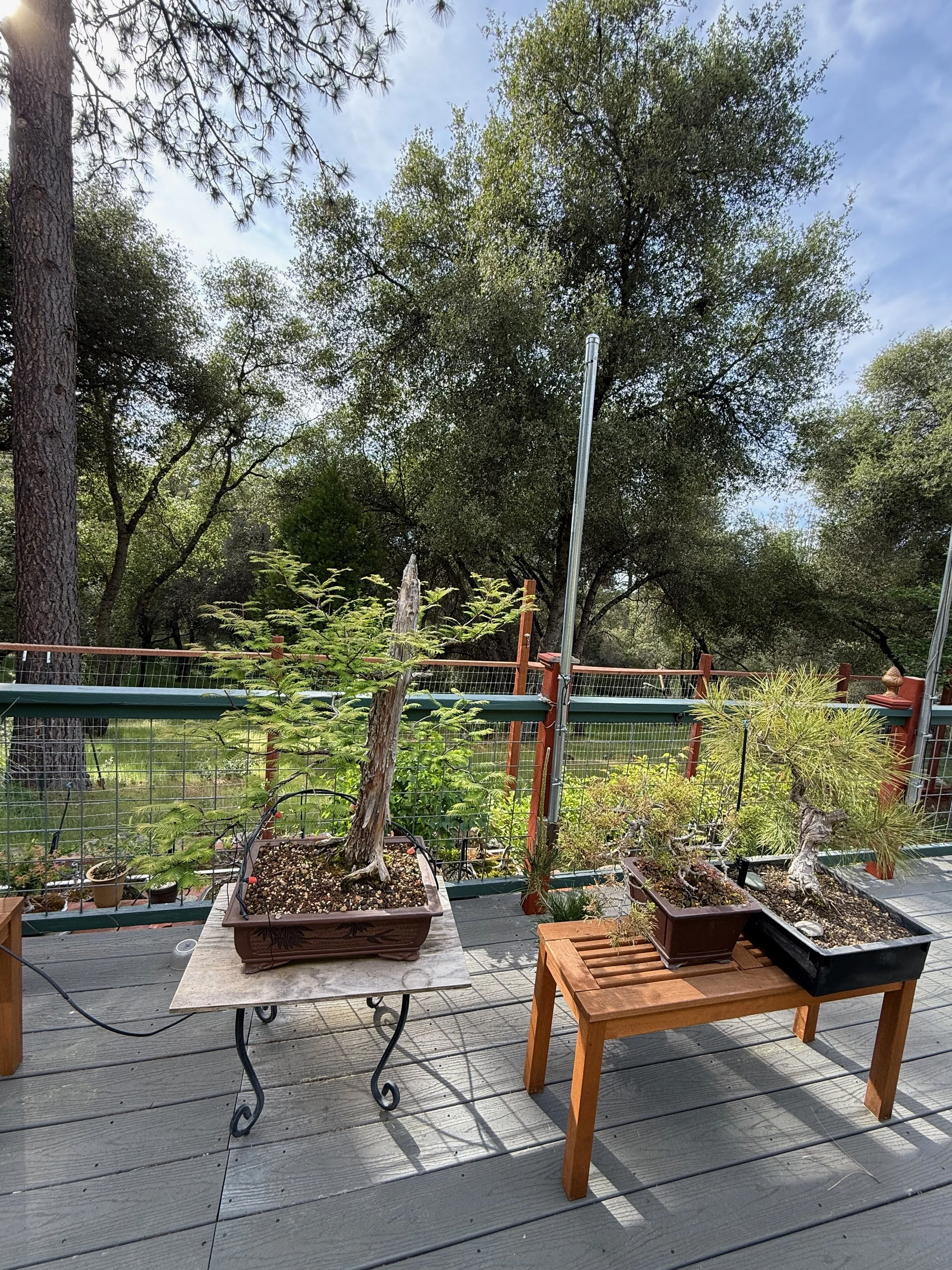 2026_04_09_Garden - 21.jpeg