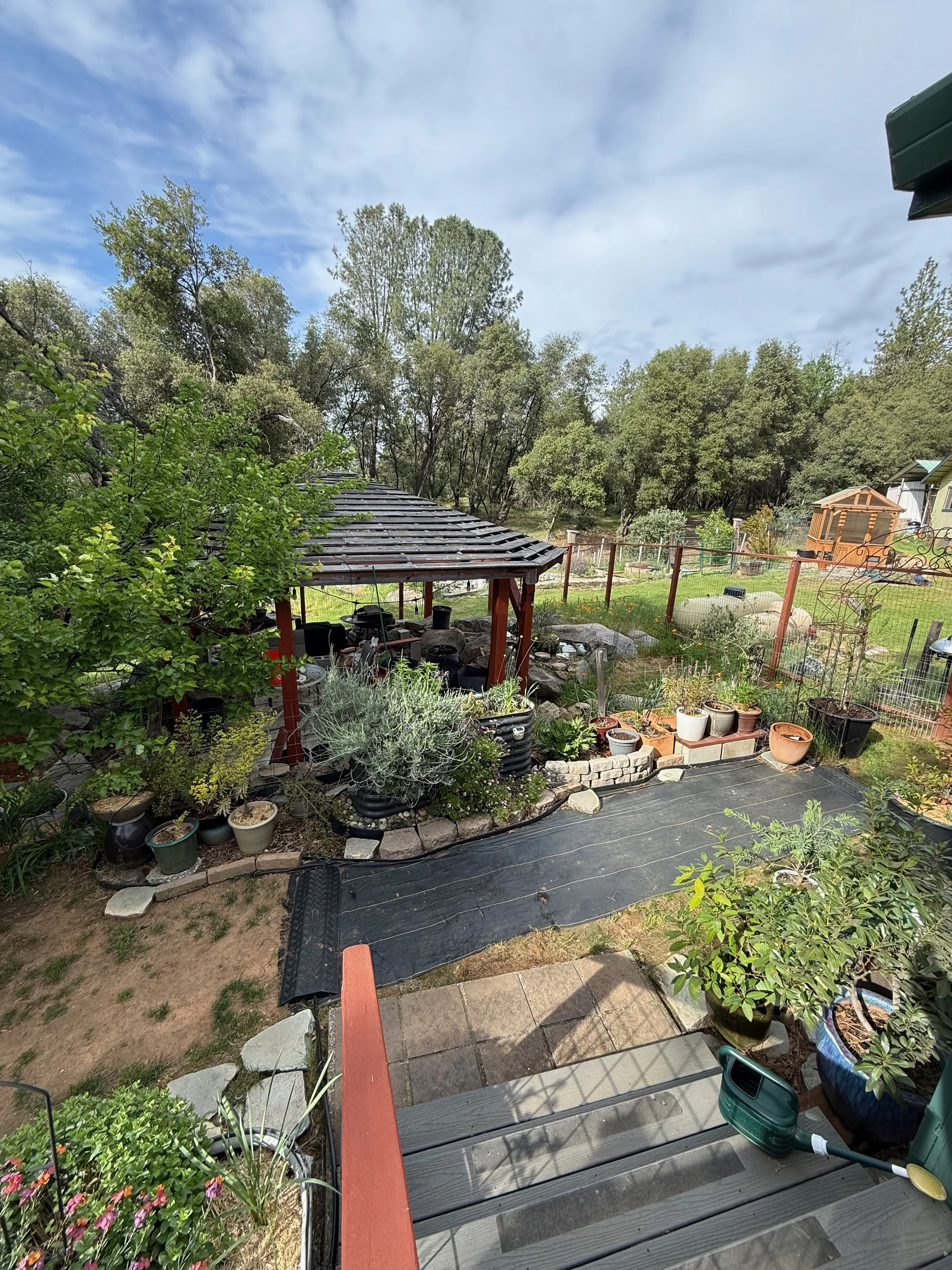 2026_04_09_Garden - 24.jpeg