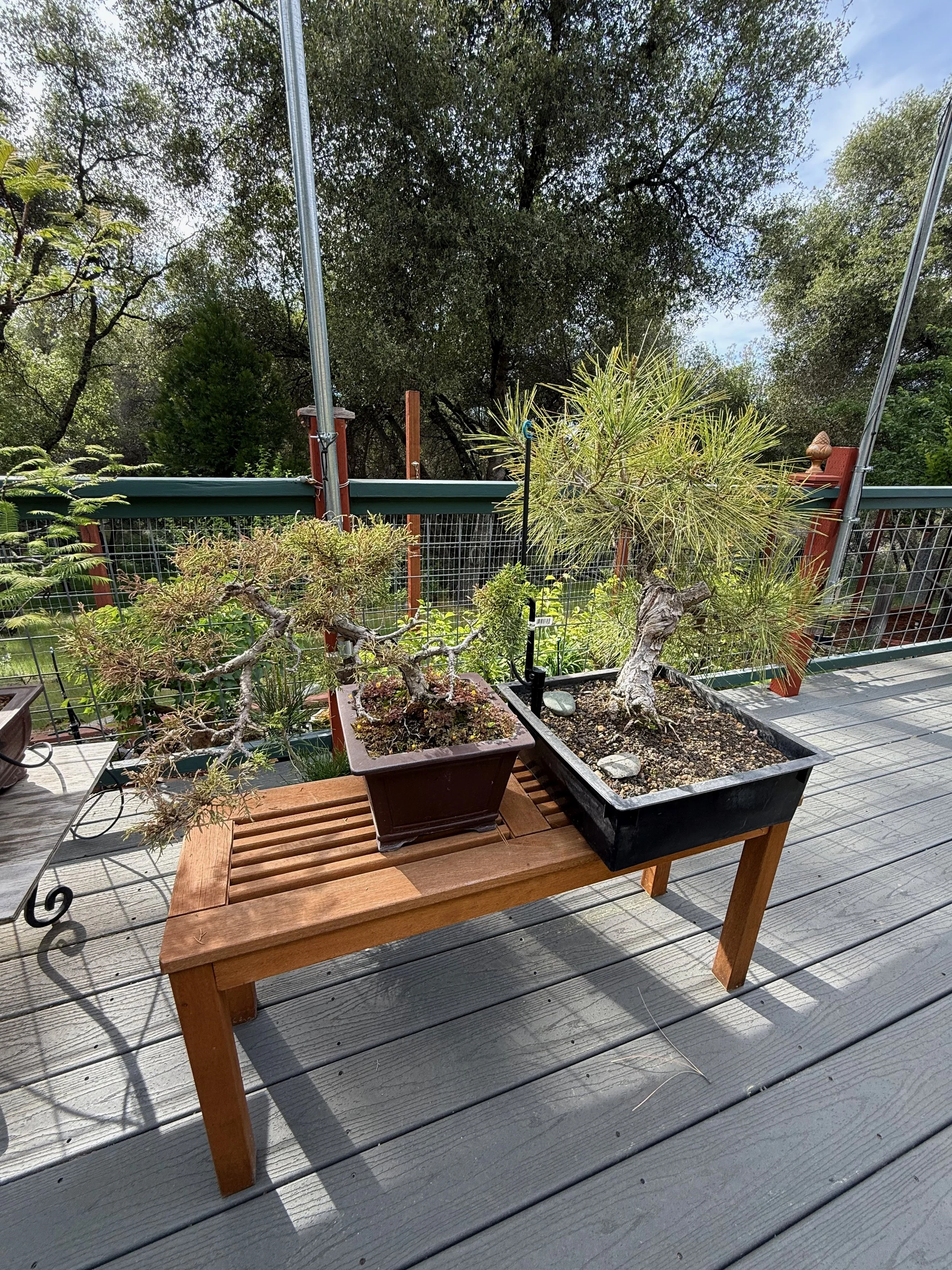 2026_04_09_Garden - 23.jpeg