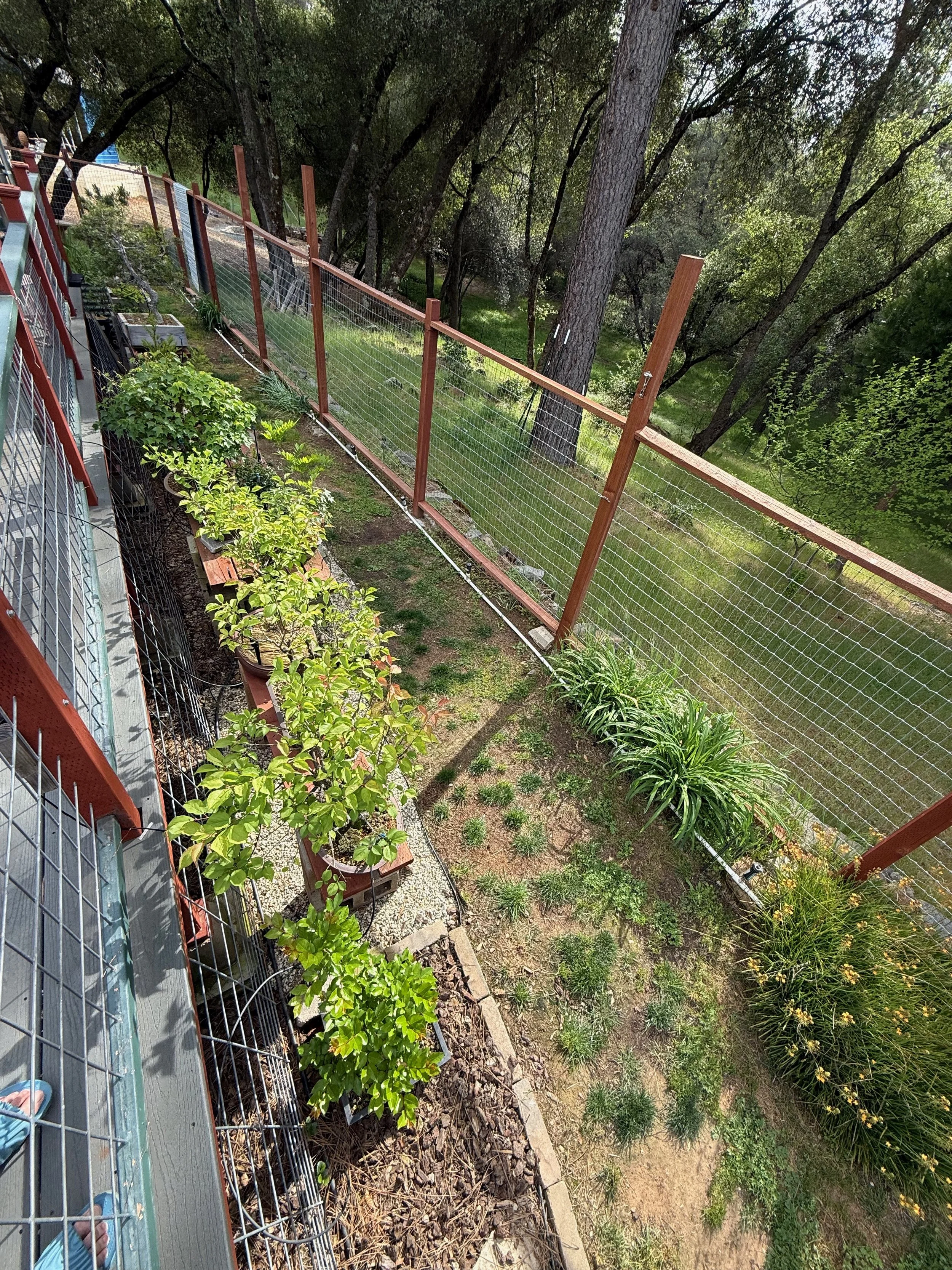 2026_04_09_Garden - 25.jpeg