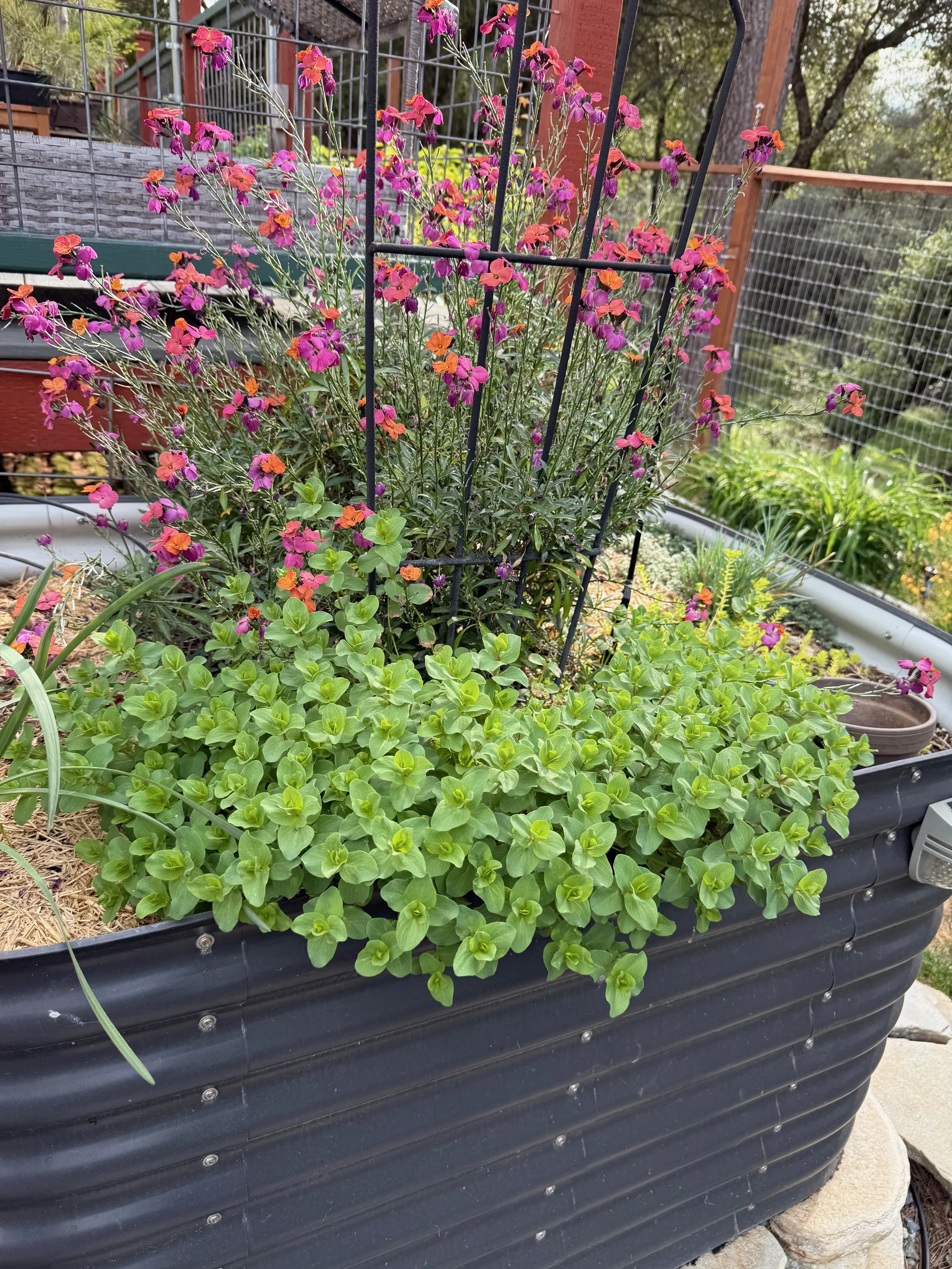 2026_04_09_Garden - 35.jpeg