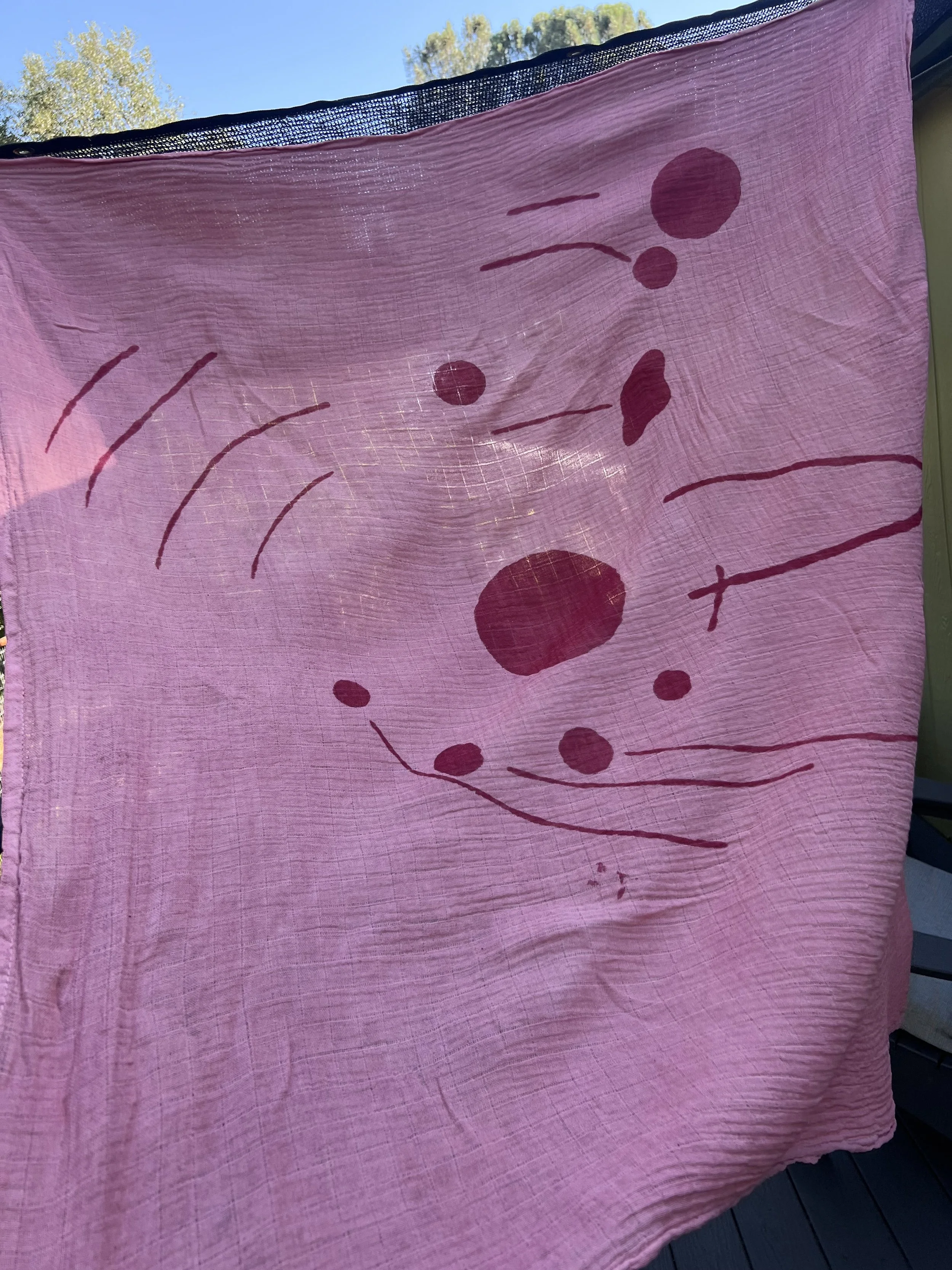 2024-07-04 10.16.07.jpg