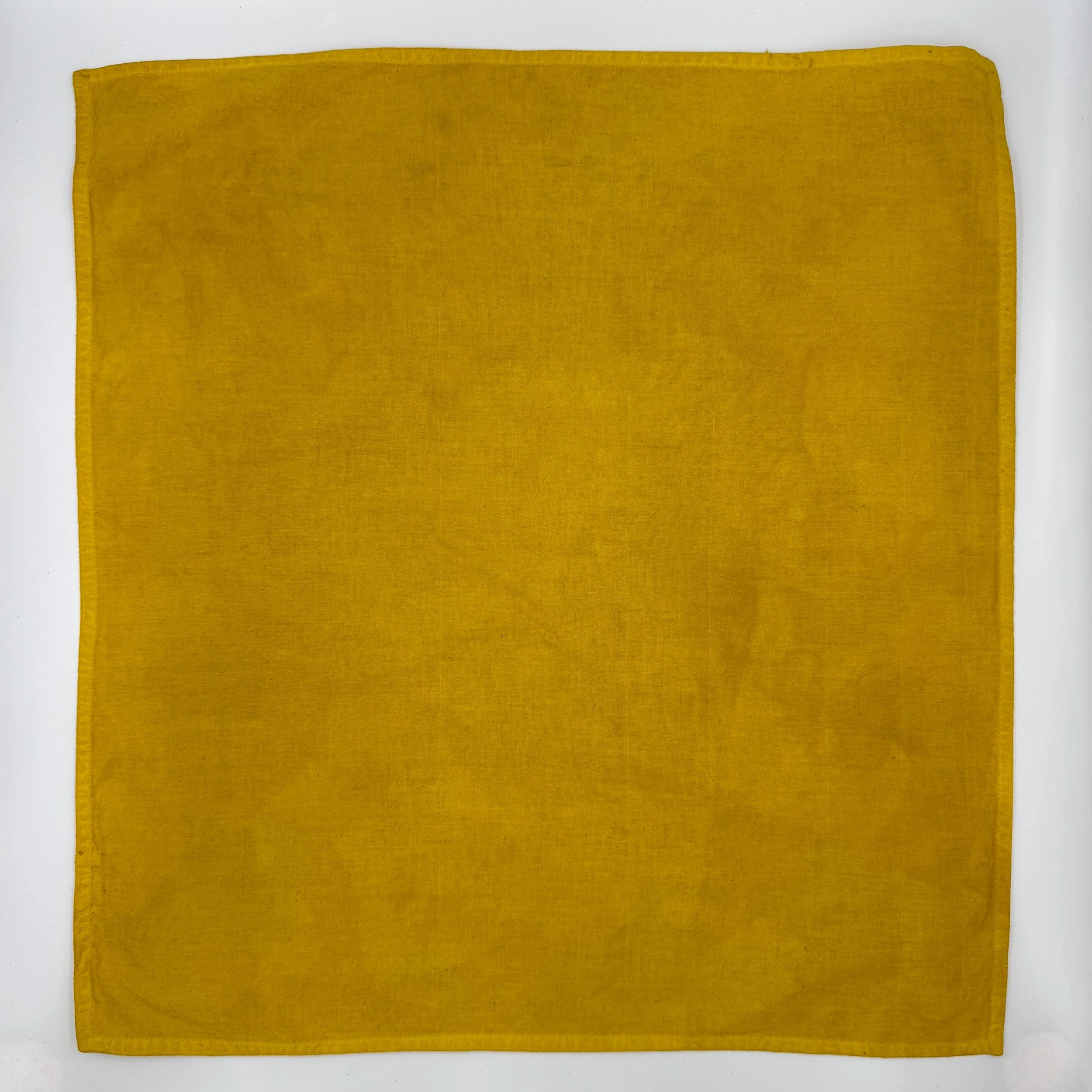 2026_05_Marigold30WOF_GL.jpg