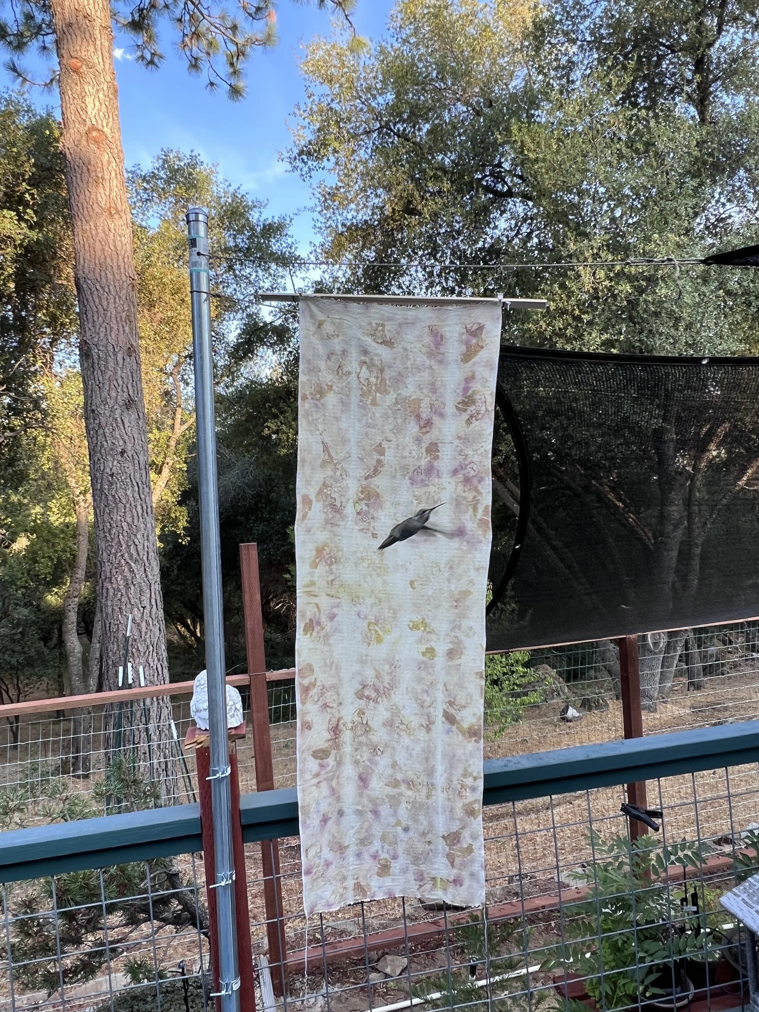 2023-08-07 14.53.35.jpg