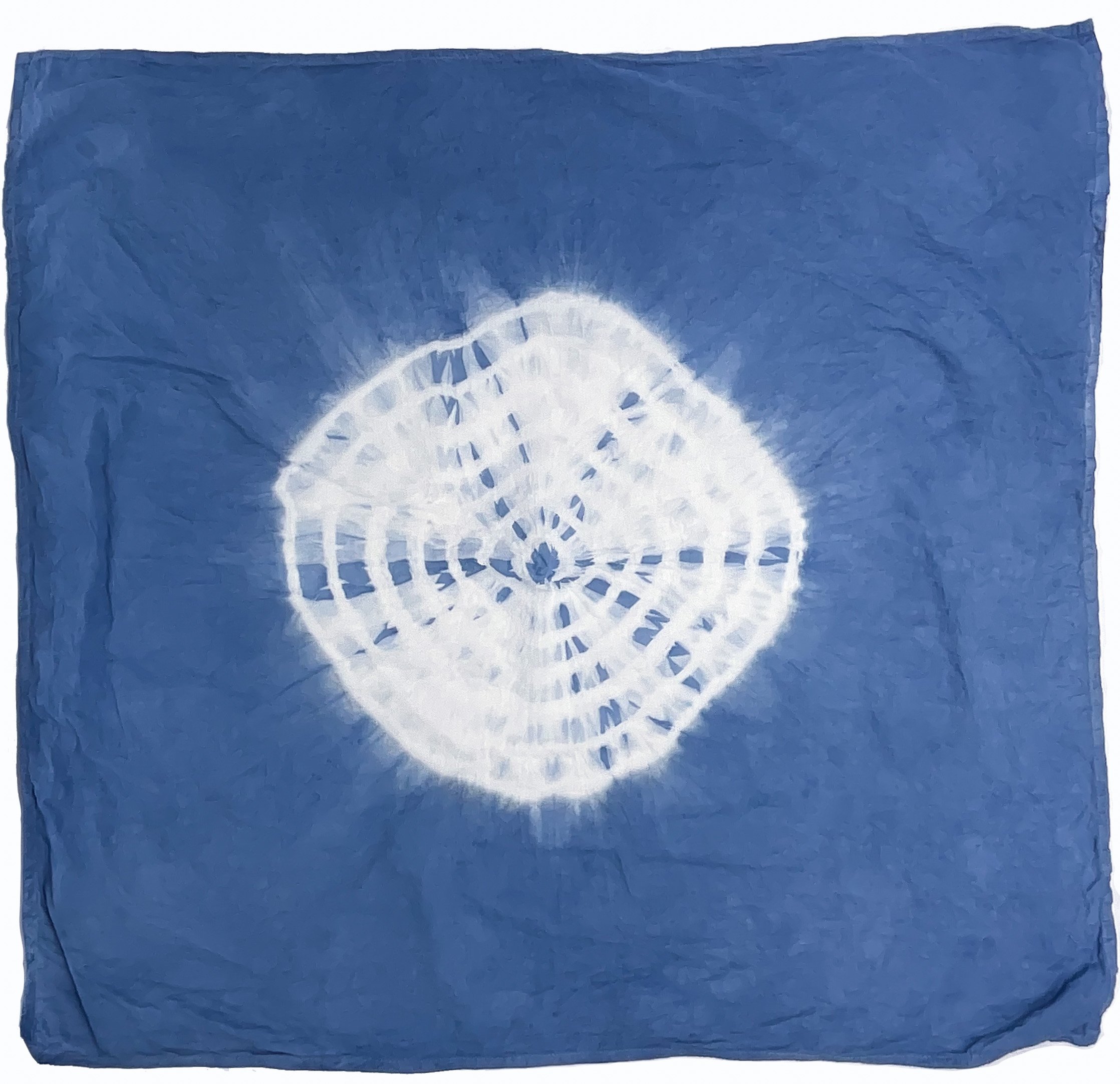 Bandana_Indigo_Dyed_Resist_026.jpg