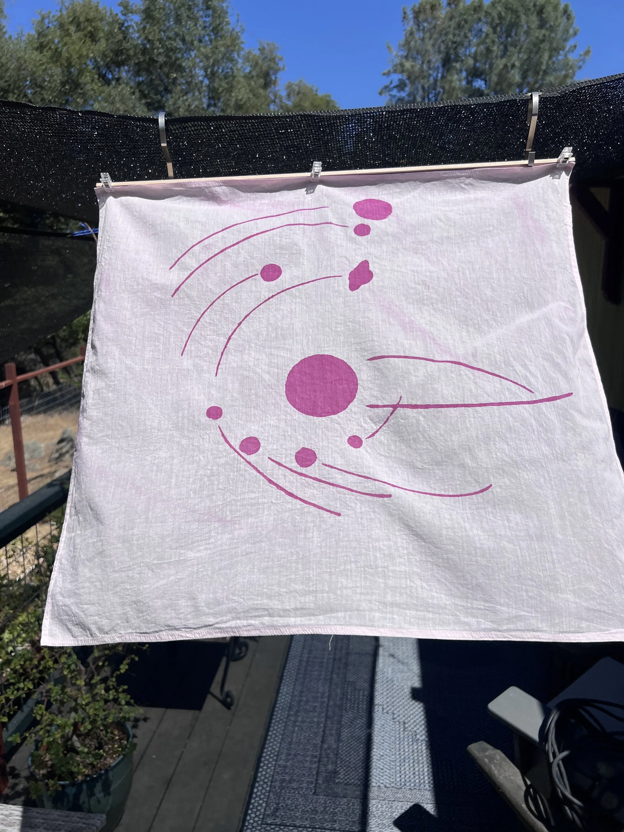 2024-08-05 12.05.51.jpg