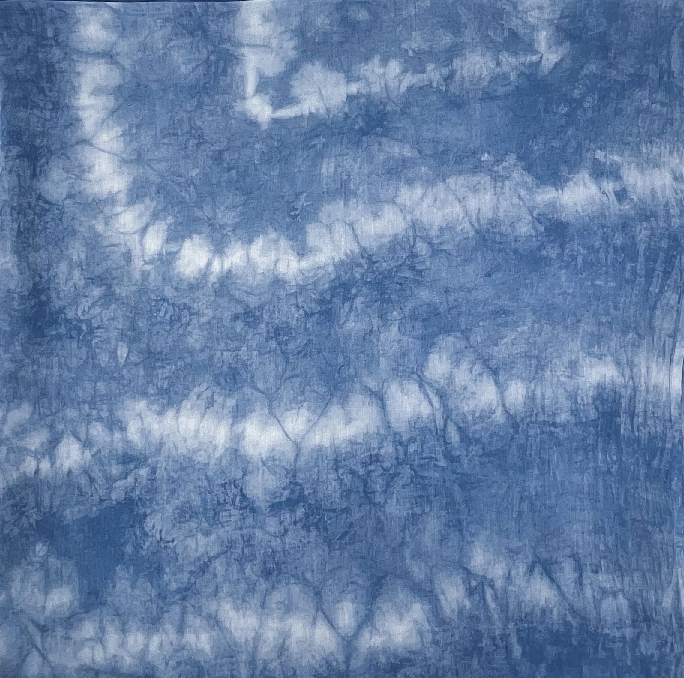 S011-1.jpg