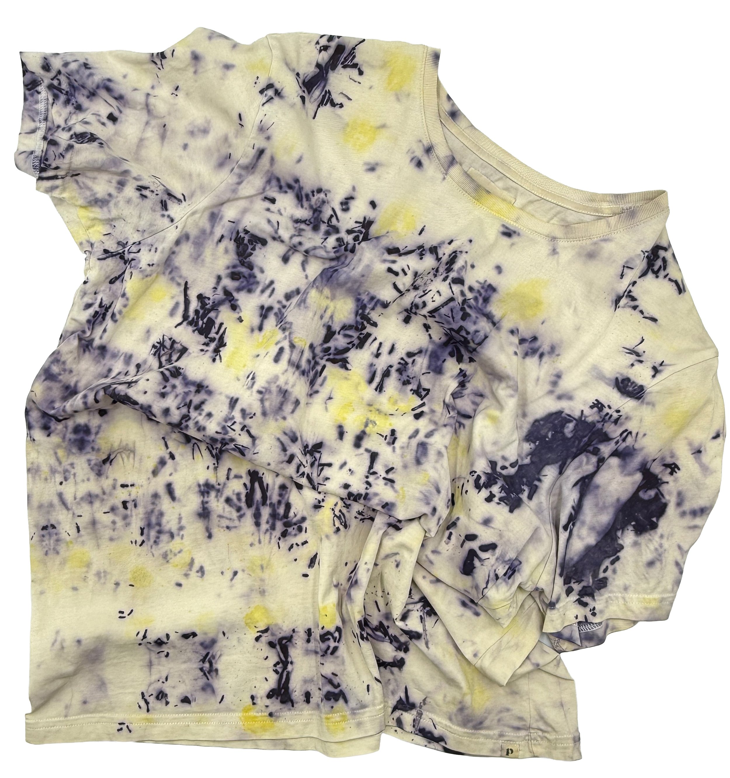 Mens_EcoPrinted_TShirt_Large.jpg