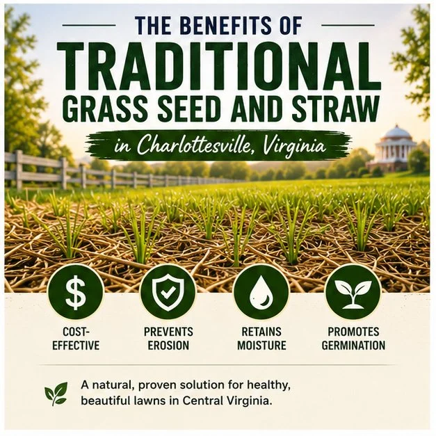 Charlottesville Grass and Seed Installation
