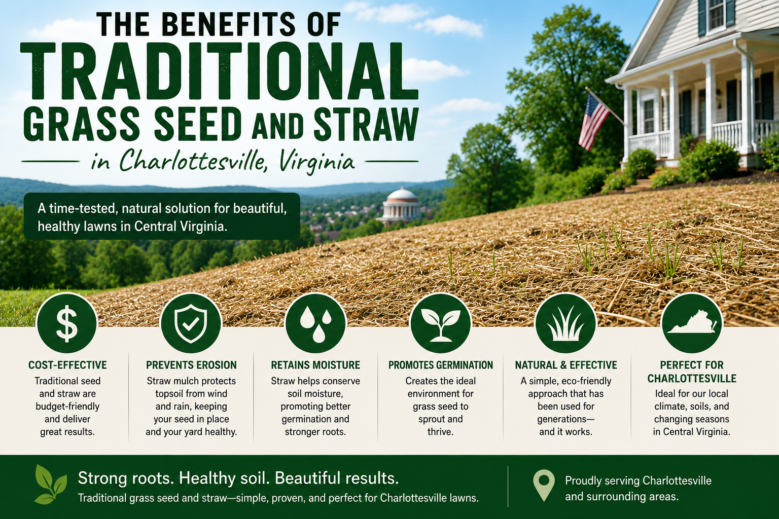 The Benefits of Traditional Grass Seed and Straw in Charlottesville, Virginia