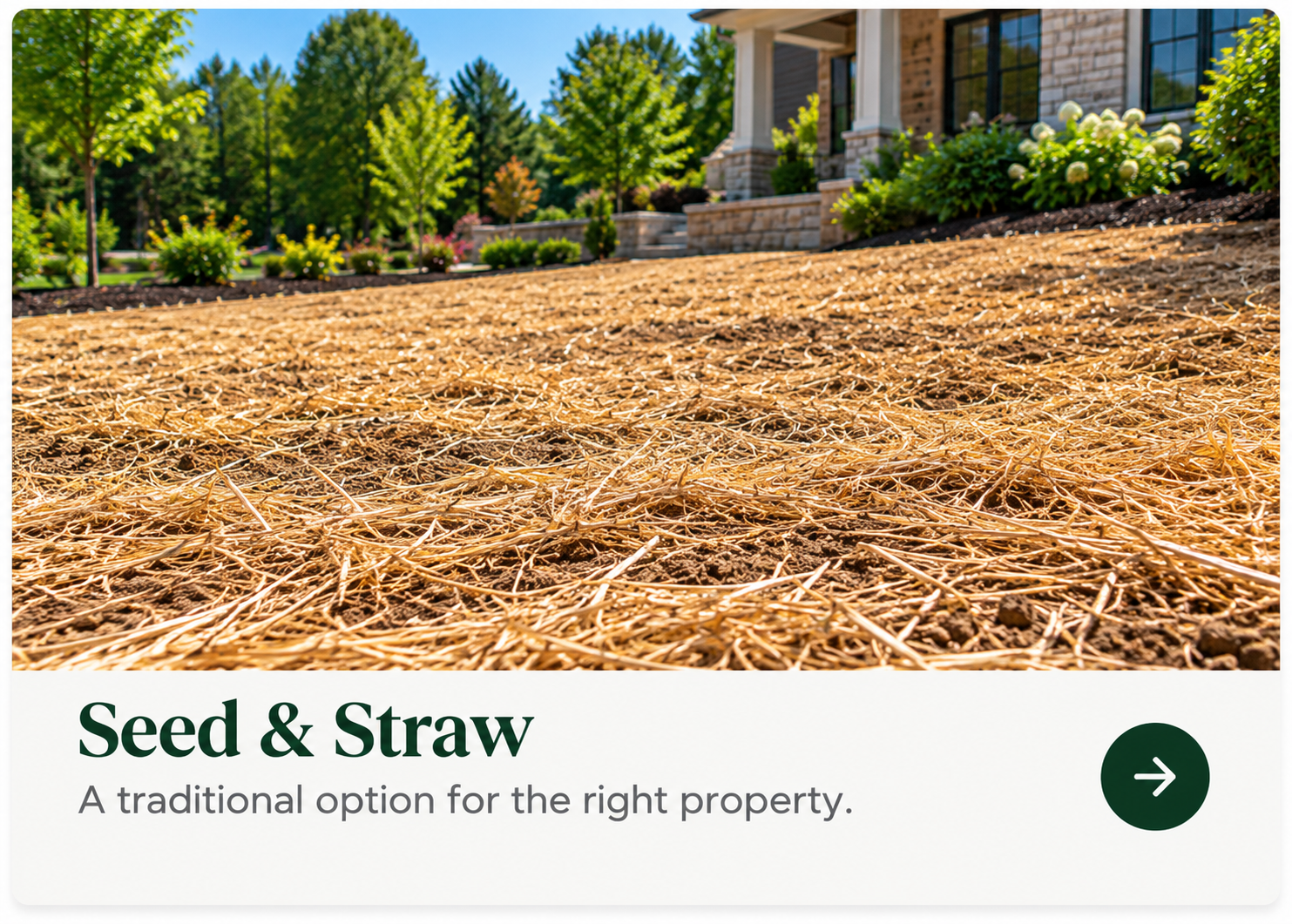 Seed and Straw
