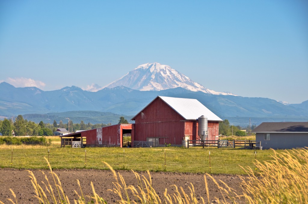 MOUNTAIN PROPERTIES Mt. Rainier stands a majestic 14,411 feet above sea level. This active volcano is displayed in all her glory throughout the Puget Sound region and is the most prominent mountain in the lower 48 states. Washington is home to many mountains and much glorious scenery, but THIS MOUNTAIN lures you toward her. Want to live where you can sip your coffee in the morning while taking in the beauty of the sunrise behind the summit, or at the base of this mountain where you can get outdoors and take in all the beauty first hand? Let this mountain be your North Star and help you find your way home.
