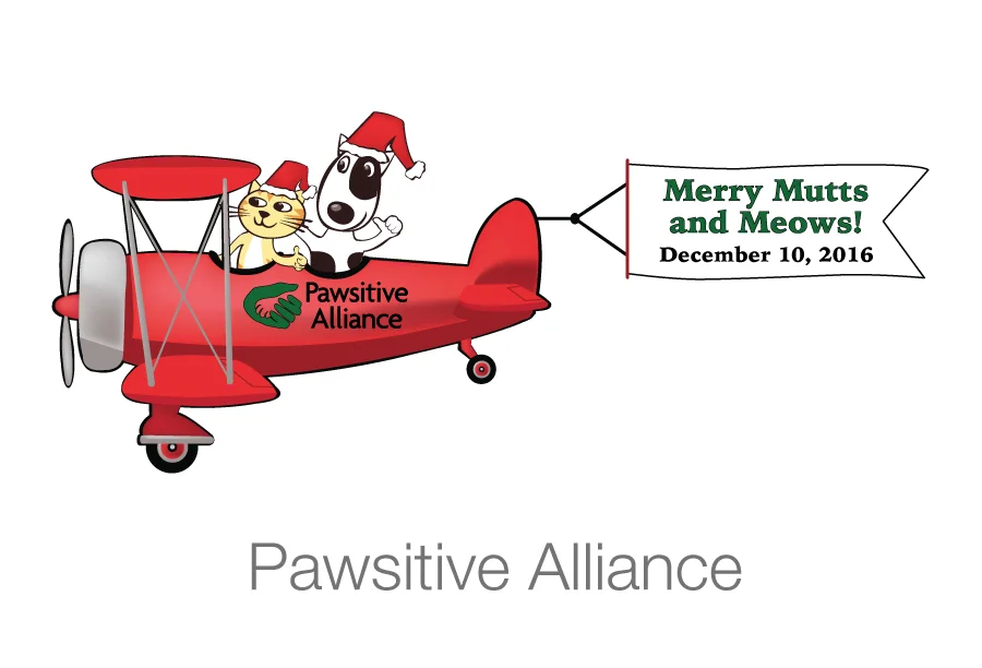 Pawsitive4.jpg