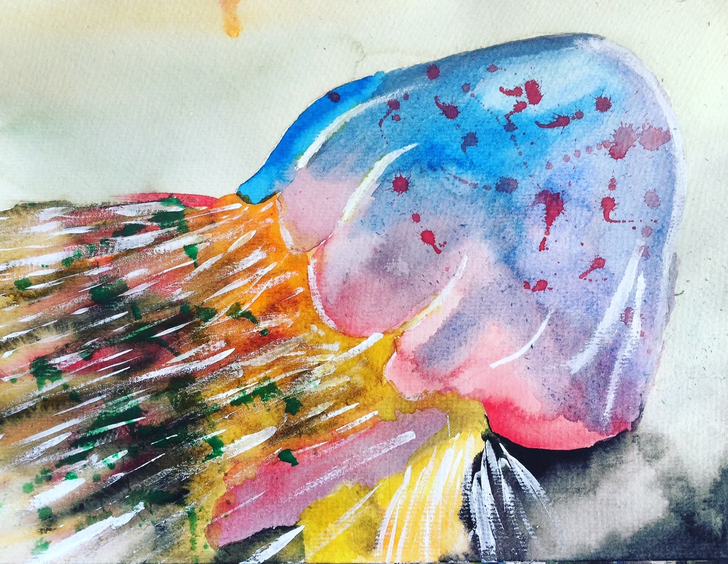 The Lion's Mane Jellyfish ( Cyanea capillata ), Owen O'Shea Watercolour and Acrylic
