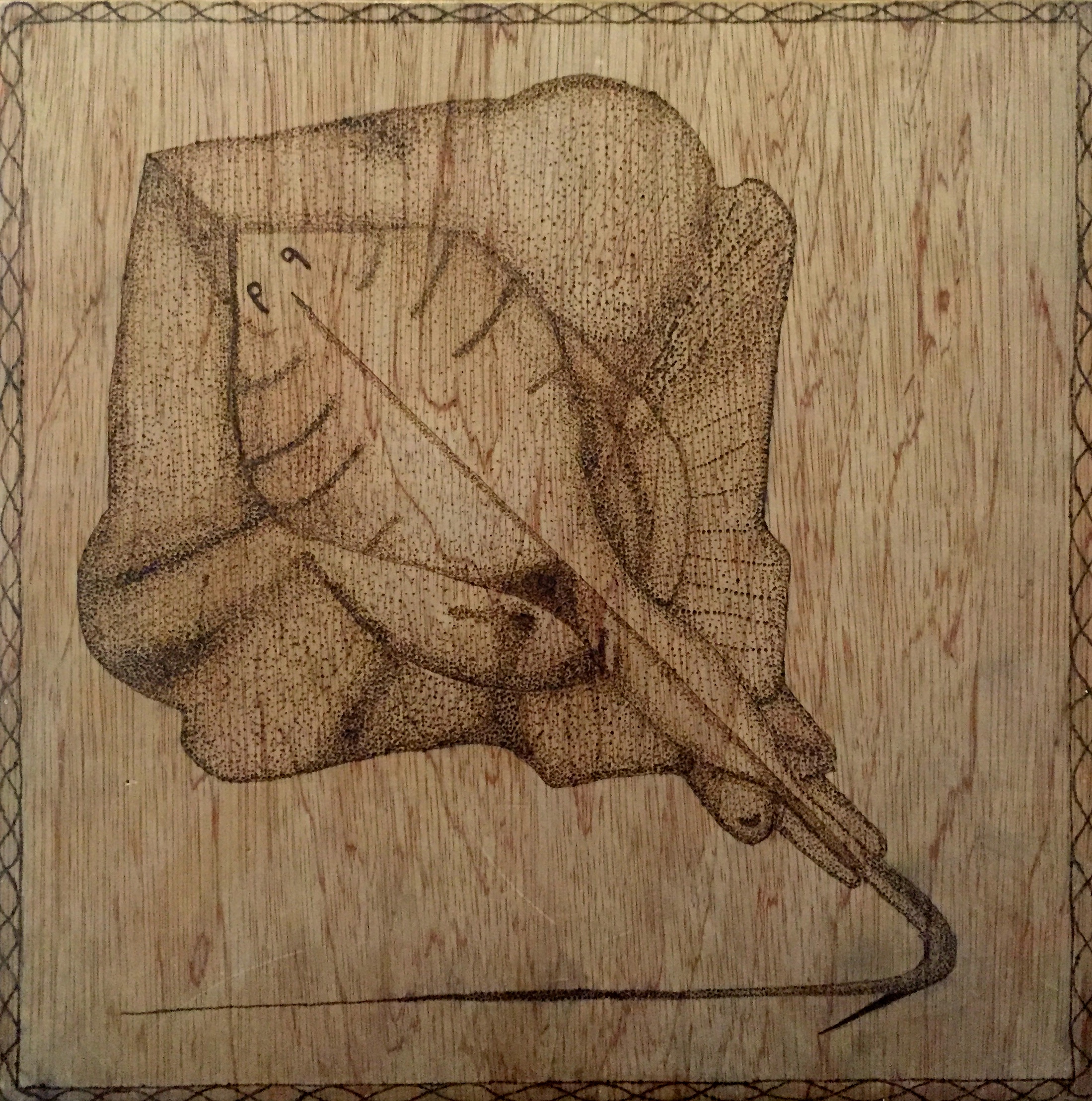 Skate ( Raja sp.) Cianan Gamble Wood Burn