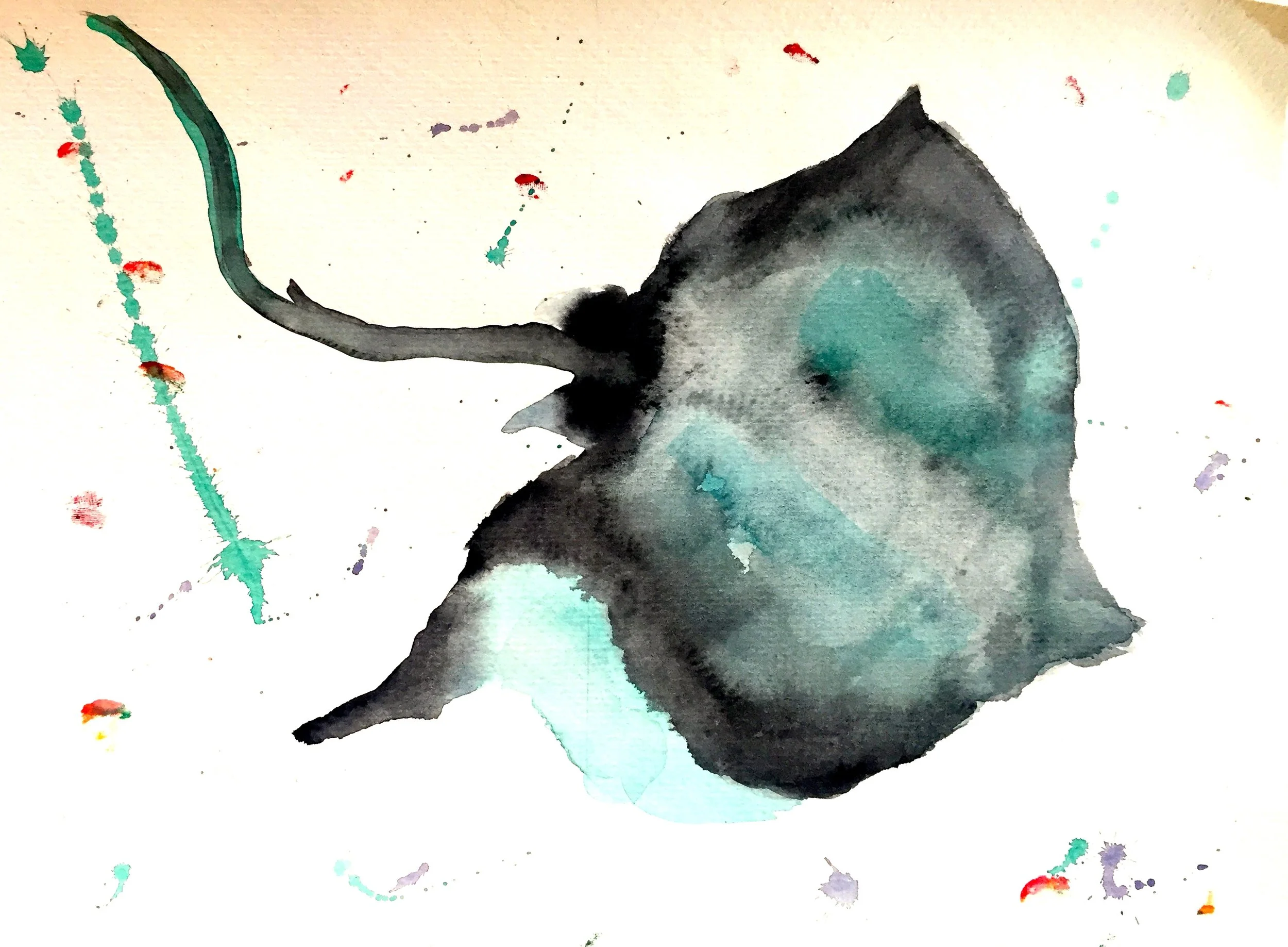 Stingray (Dasyatidae) Owen O'Shea Watercolour