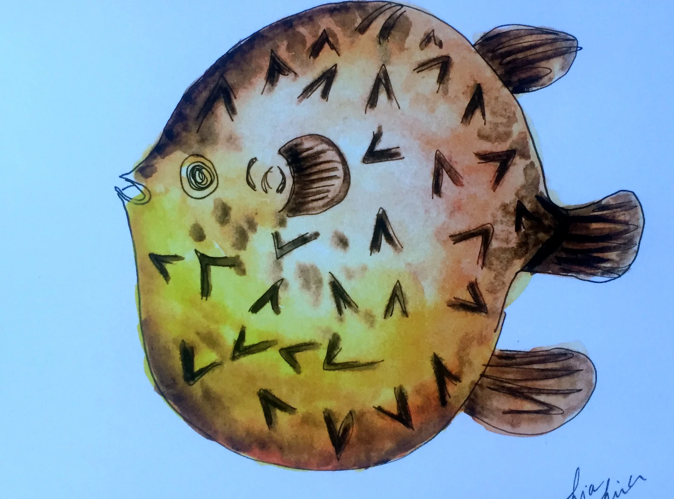 Porcupine Fish ( Diodon Hystrix ) Lia Cary Watercolour