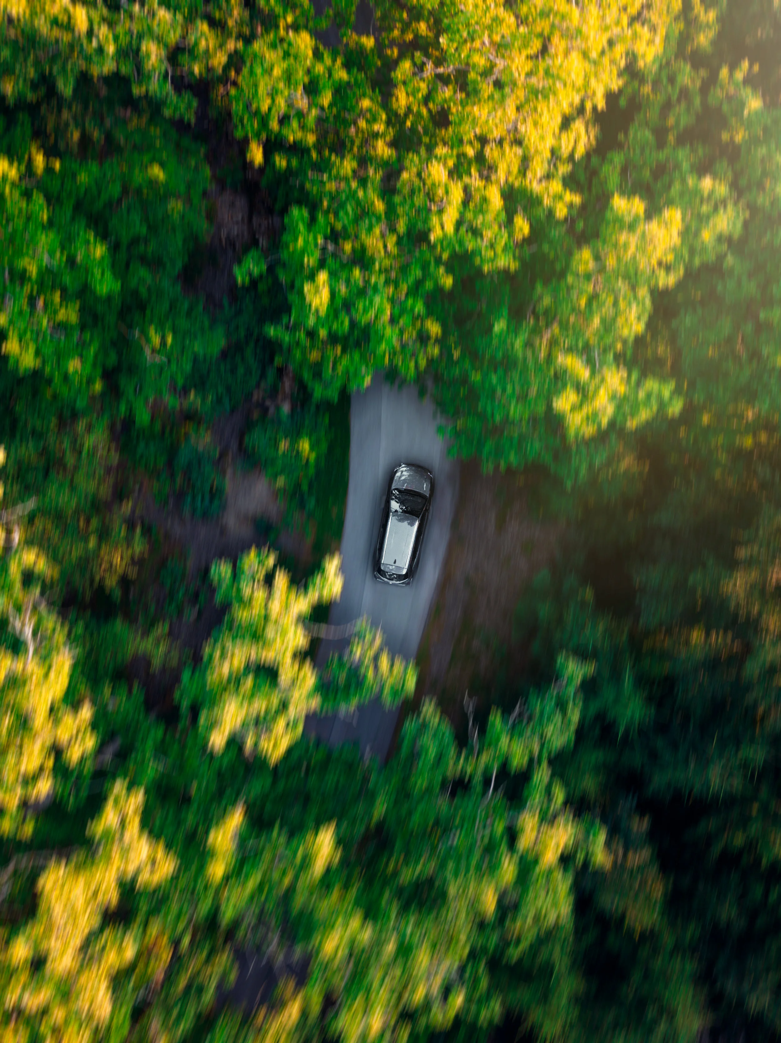 DJI_0272.jpg