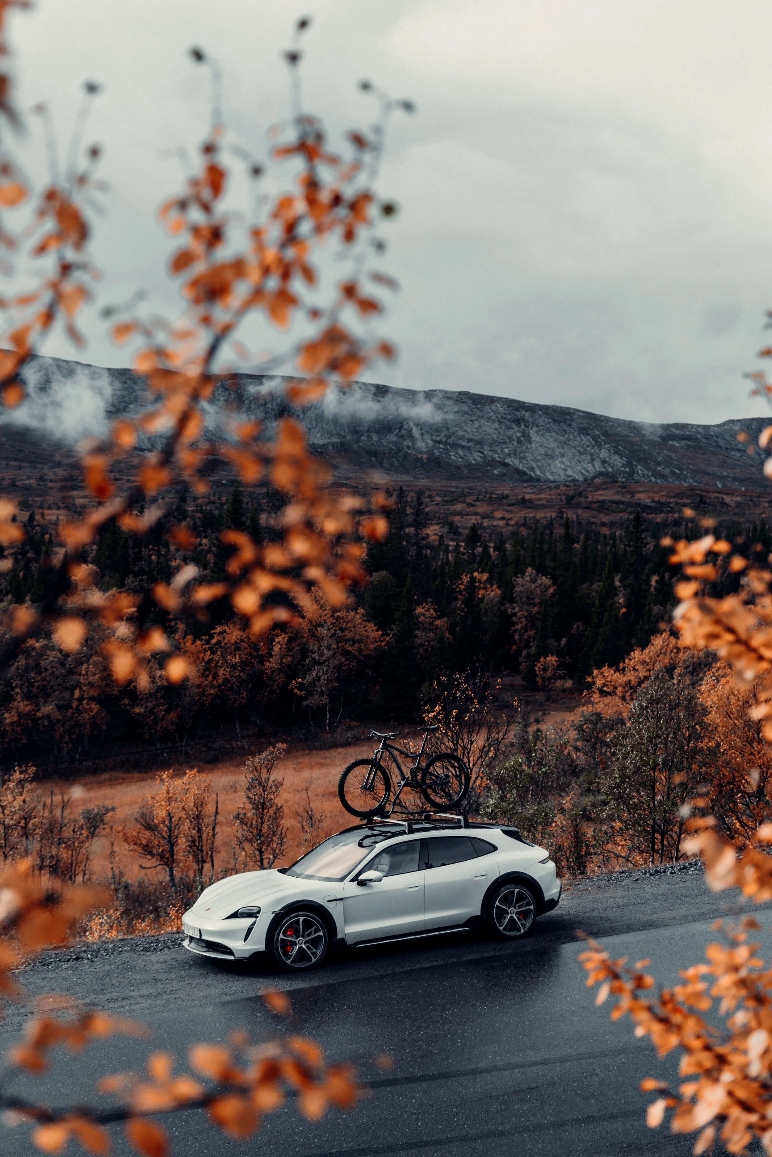 Porsche_Taycan_MaxWoxberg_002.jpg