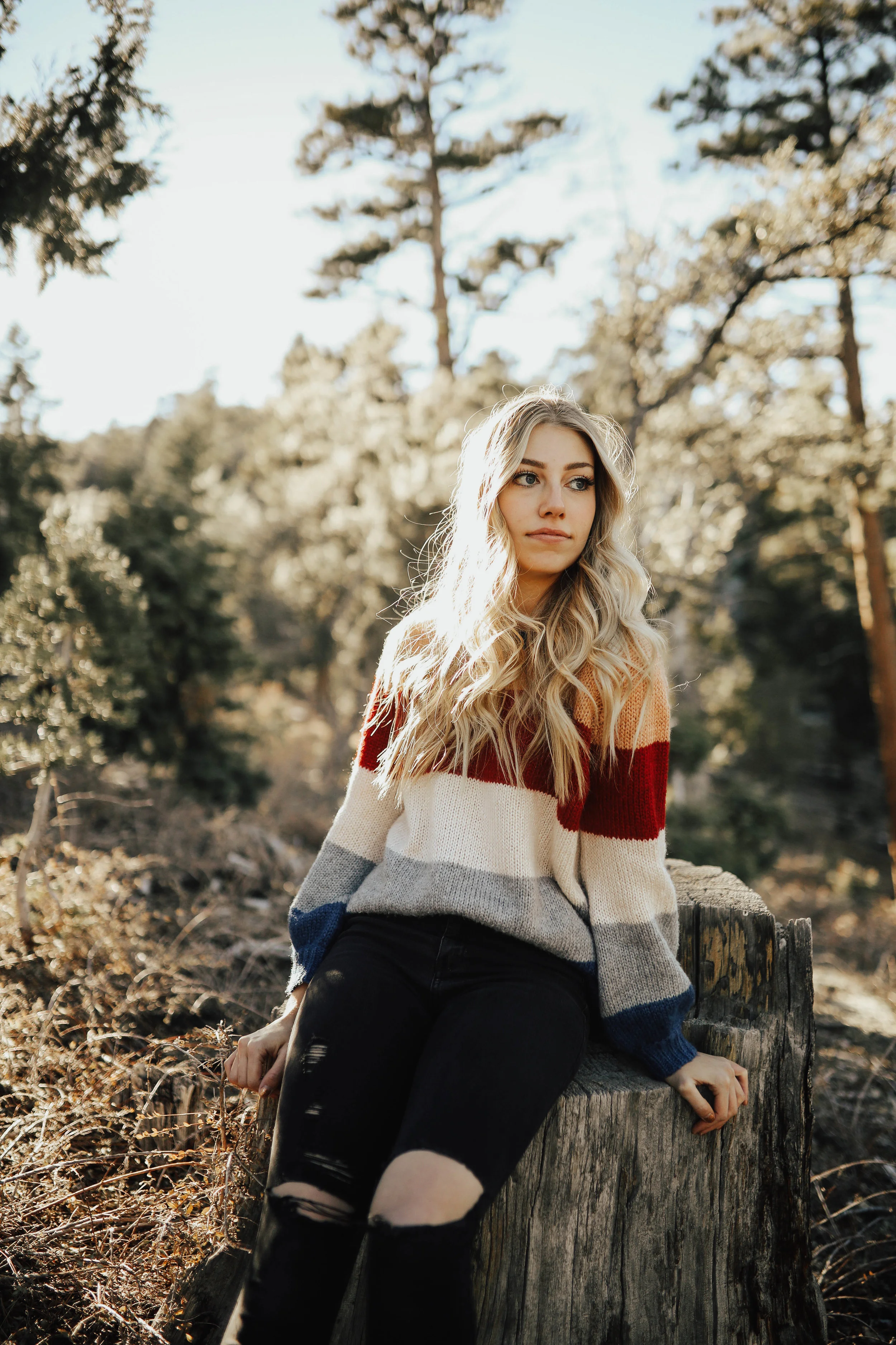 lexi | senior