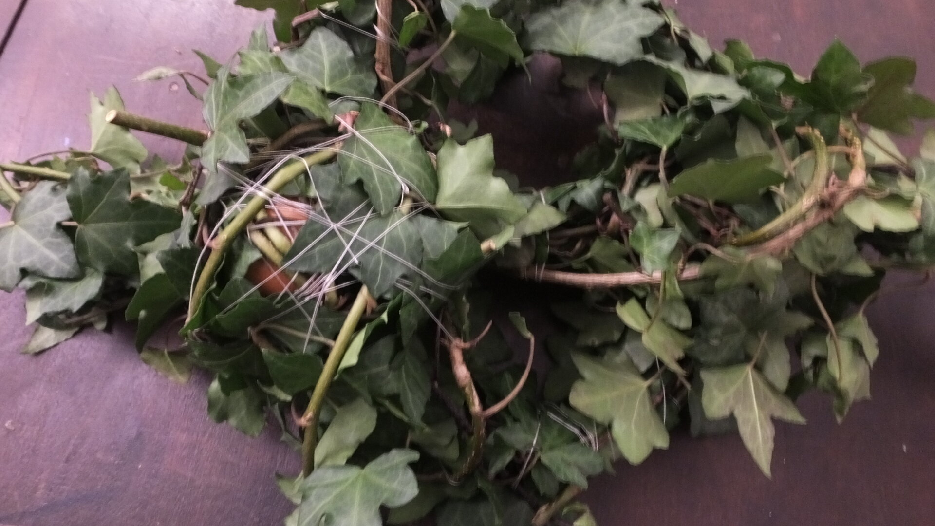 DSCF3161.JPG