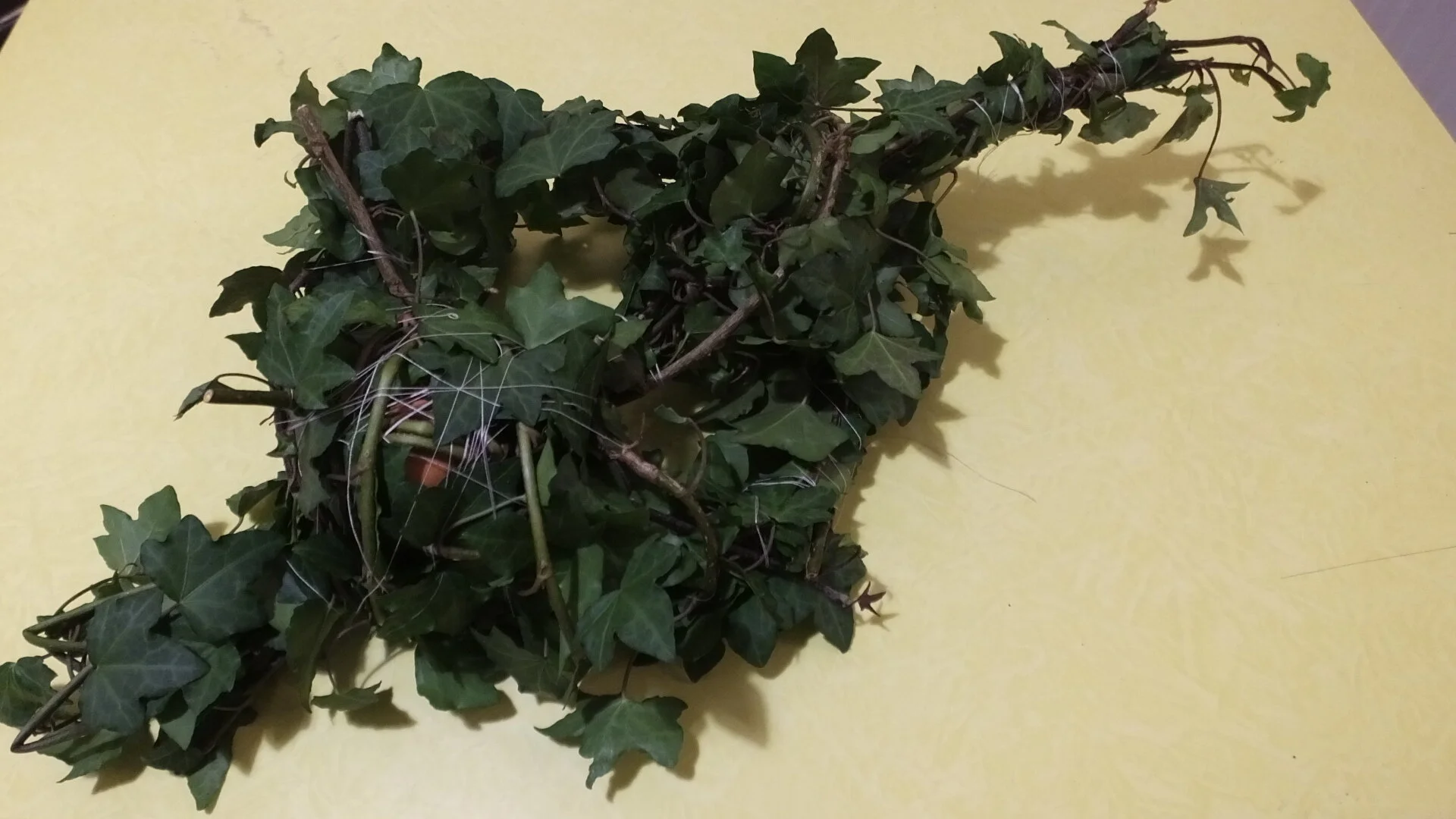DSCF3170.JPG