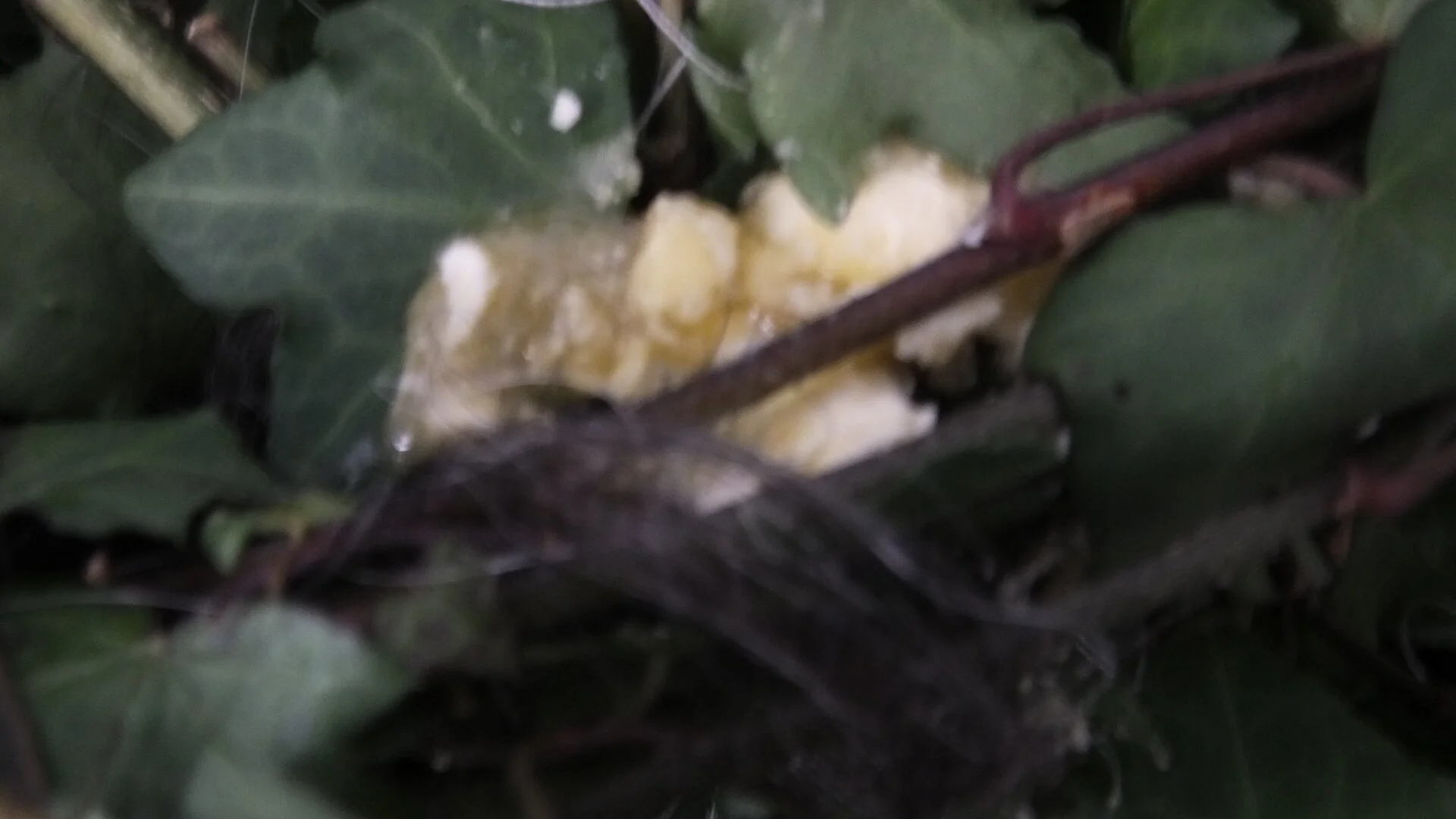 DSCF3219.JPG