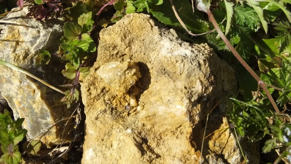 DSCF4066.JPG