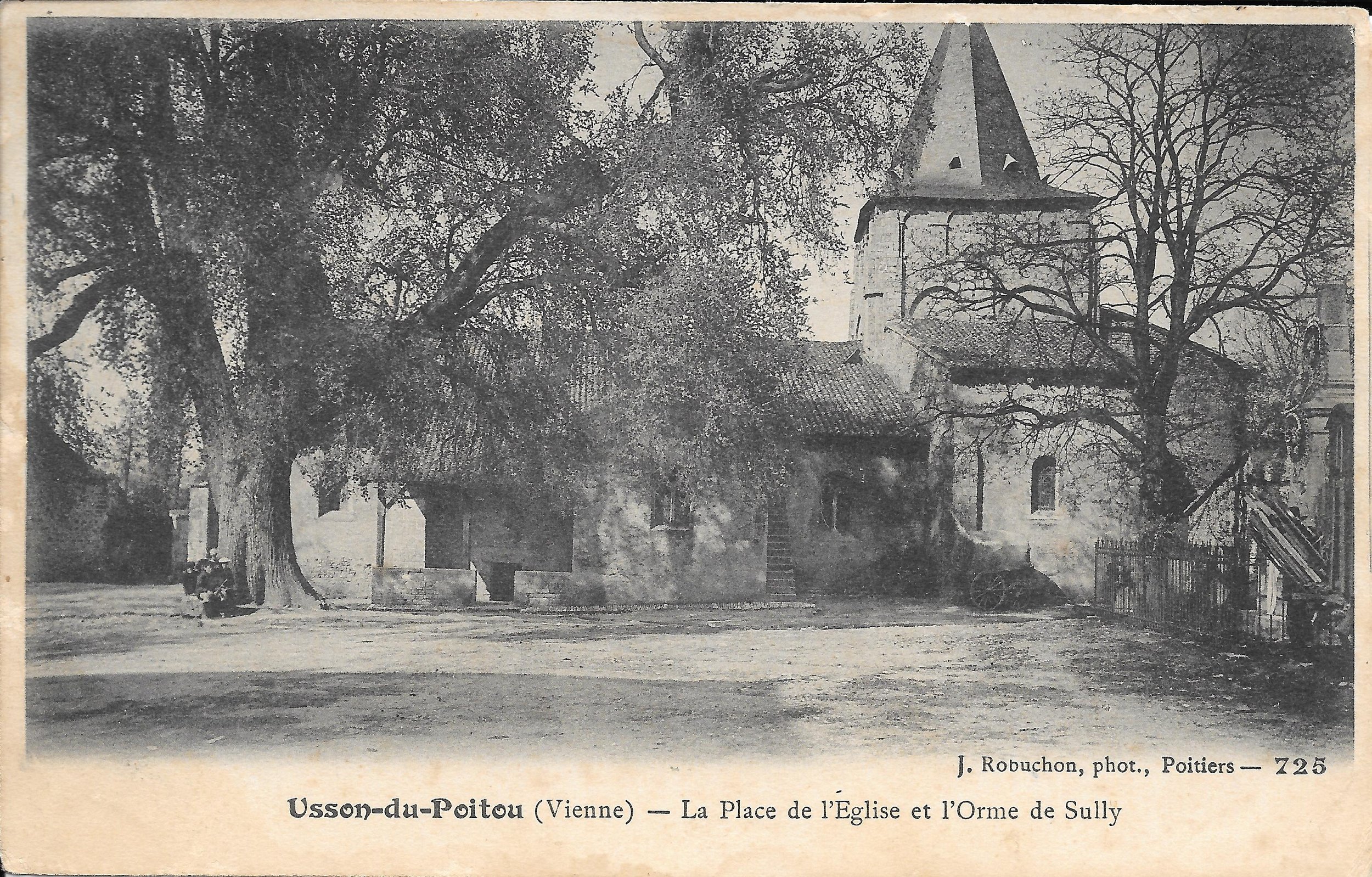 Orme-Usson-du-Poitou-Vienne-1.jpg
