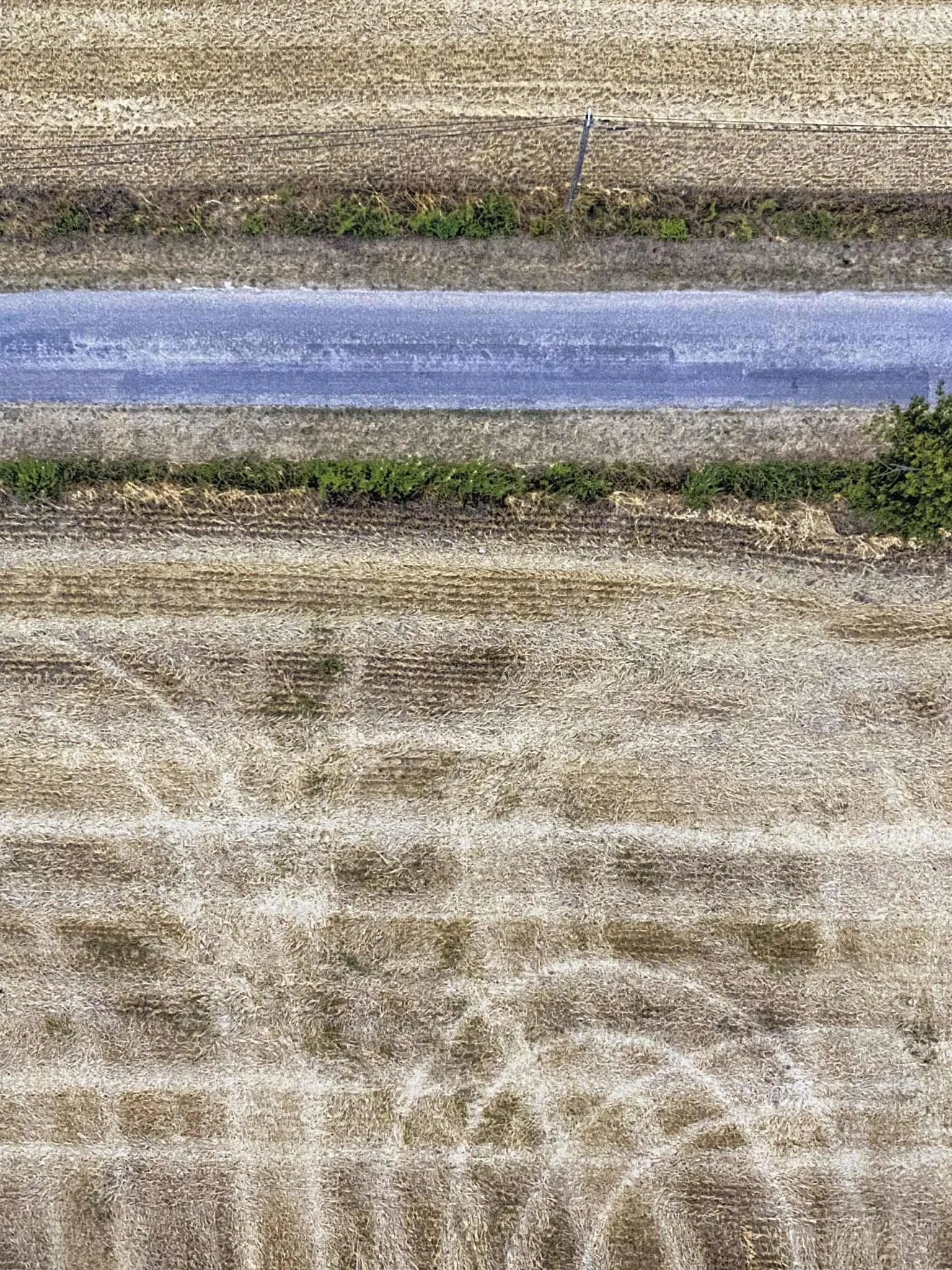 5655e652-6633-456b-abda-ae8363d747ab.jpg
