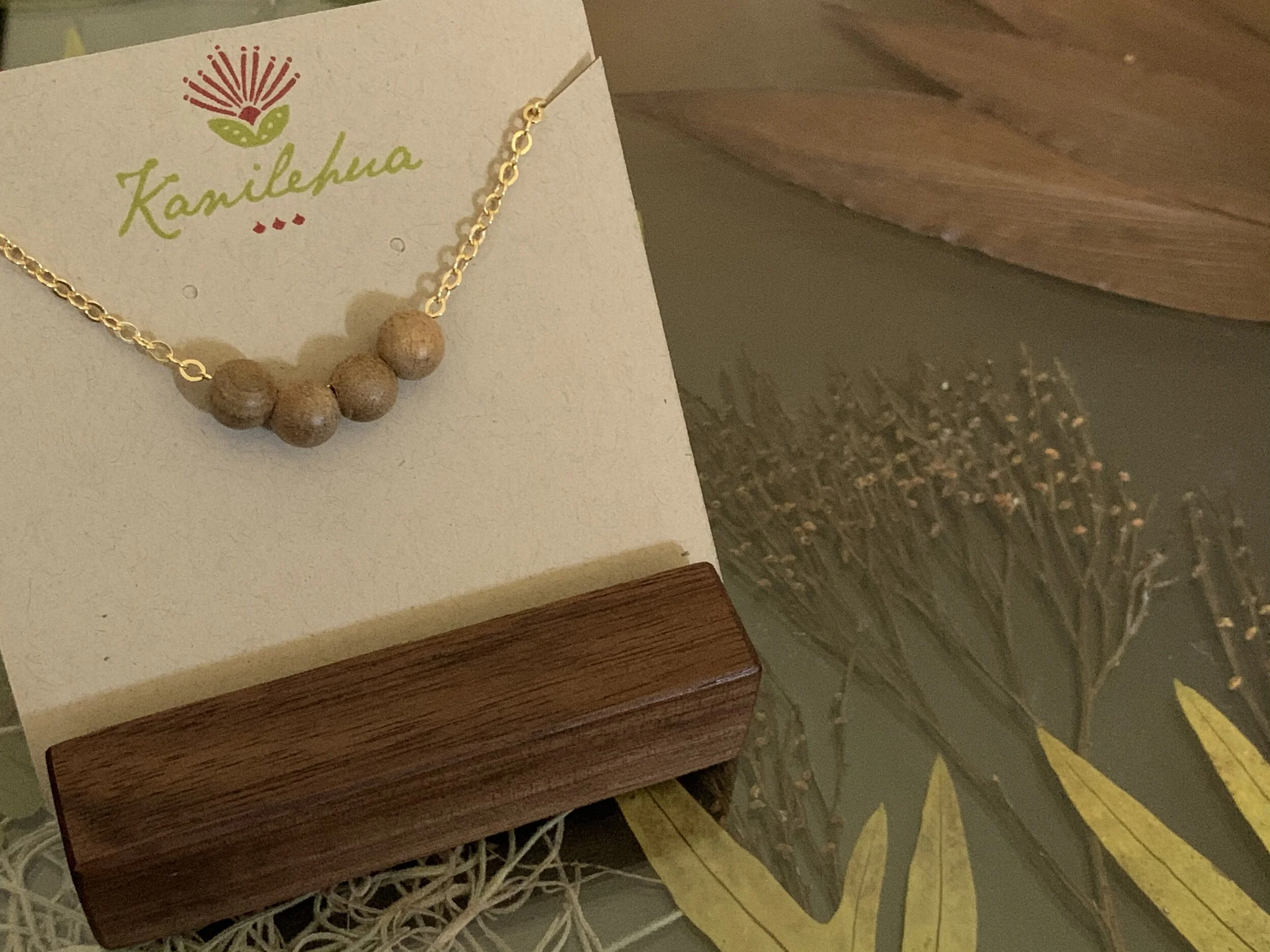 C4459C70-678A-4B1B-B696-E5114592F836