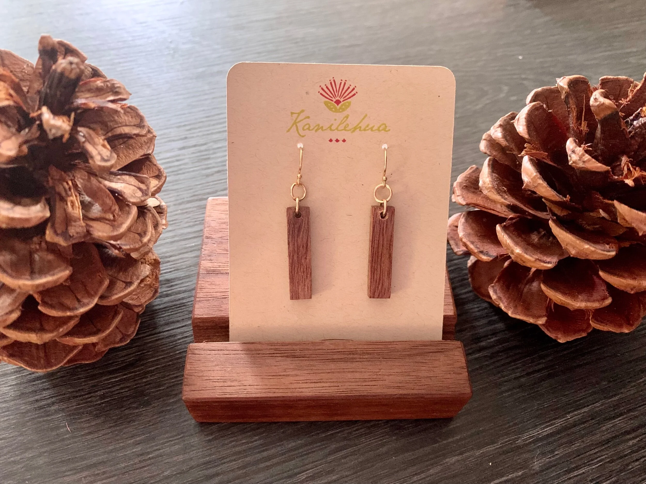 707CFED0-2C3A-482B-AFED-A0A1A0E7DD13