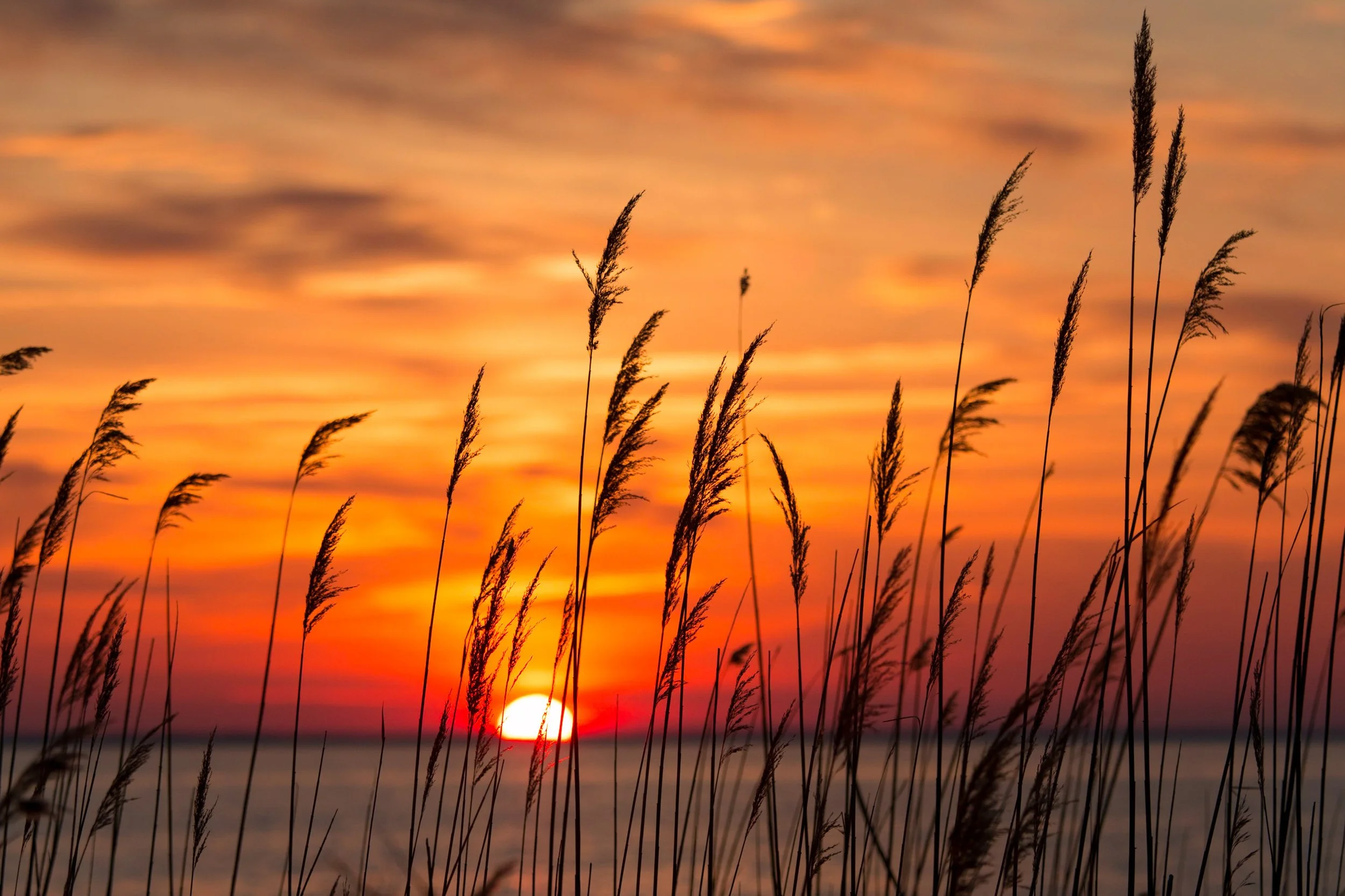 Building for the Bay: Choosing the Right Materials for Waterfront Living on the Chesapeake