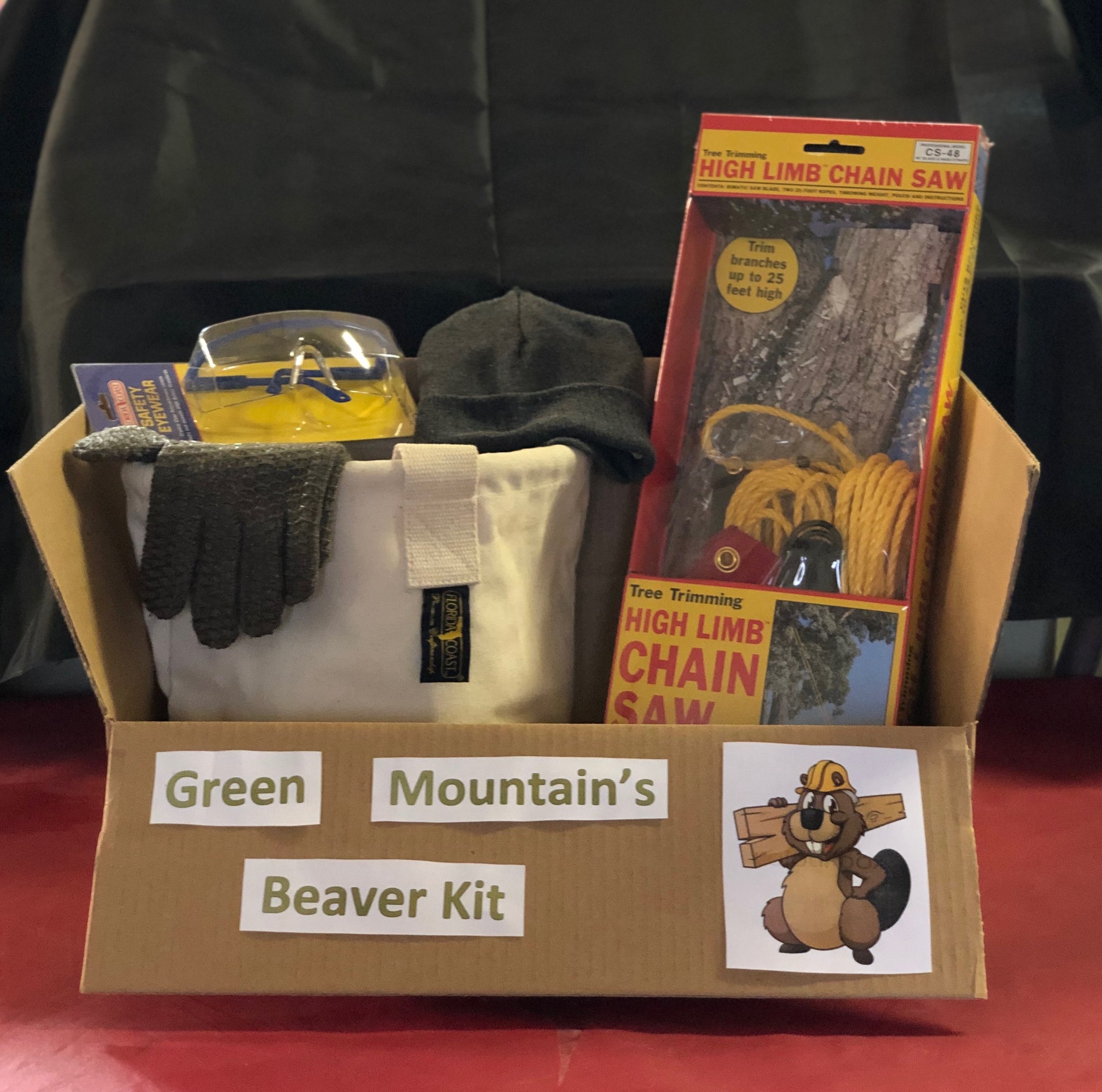 Beaver Kit.jpeg