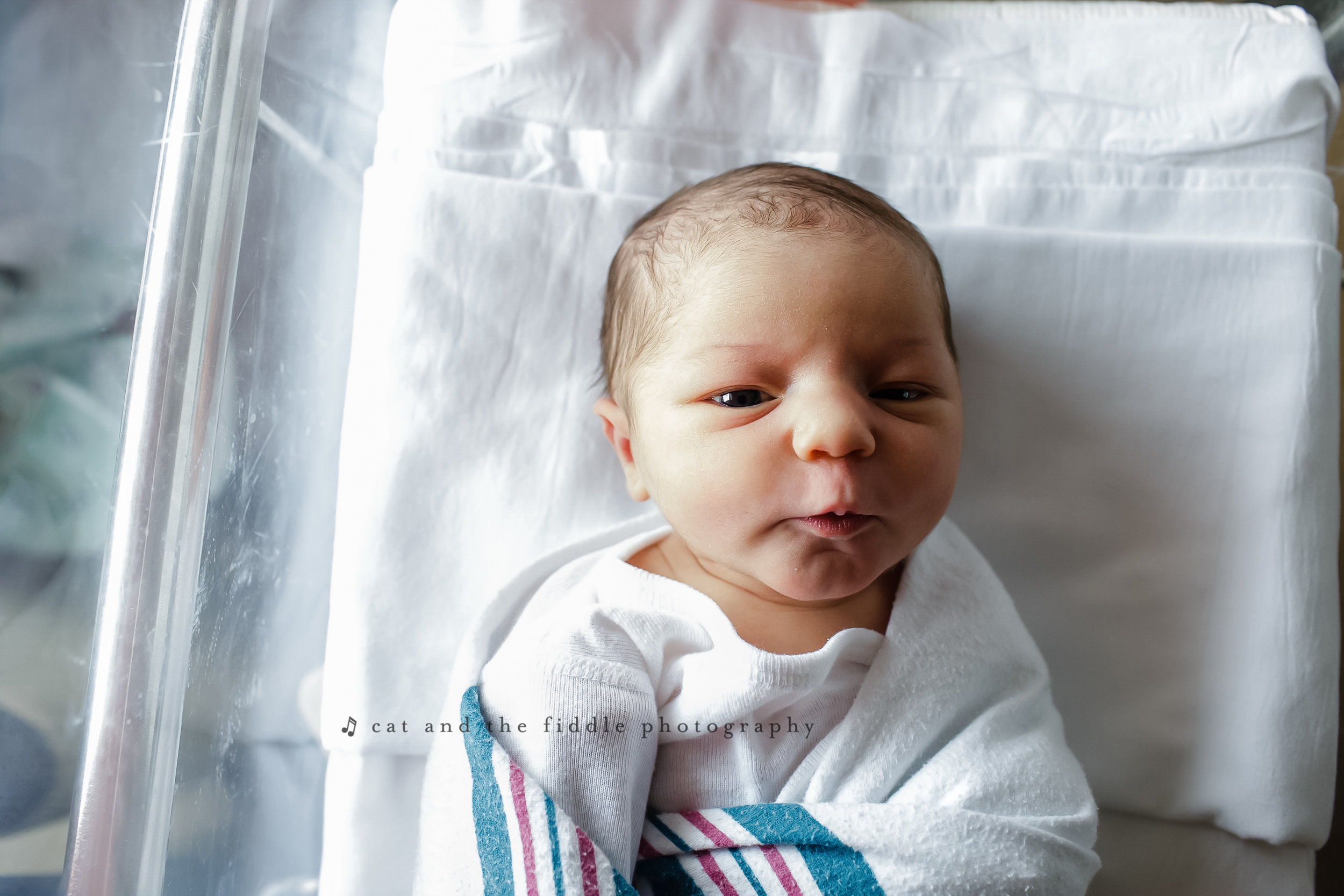 Ellicott City Newborn Photographer 7.jpg