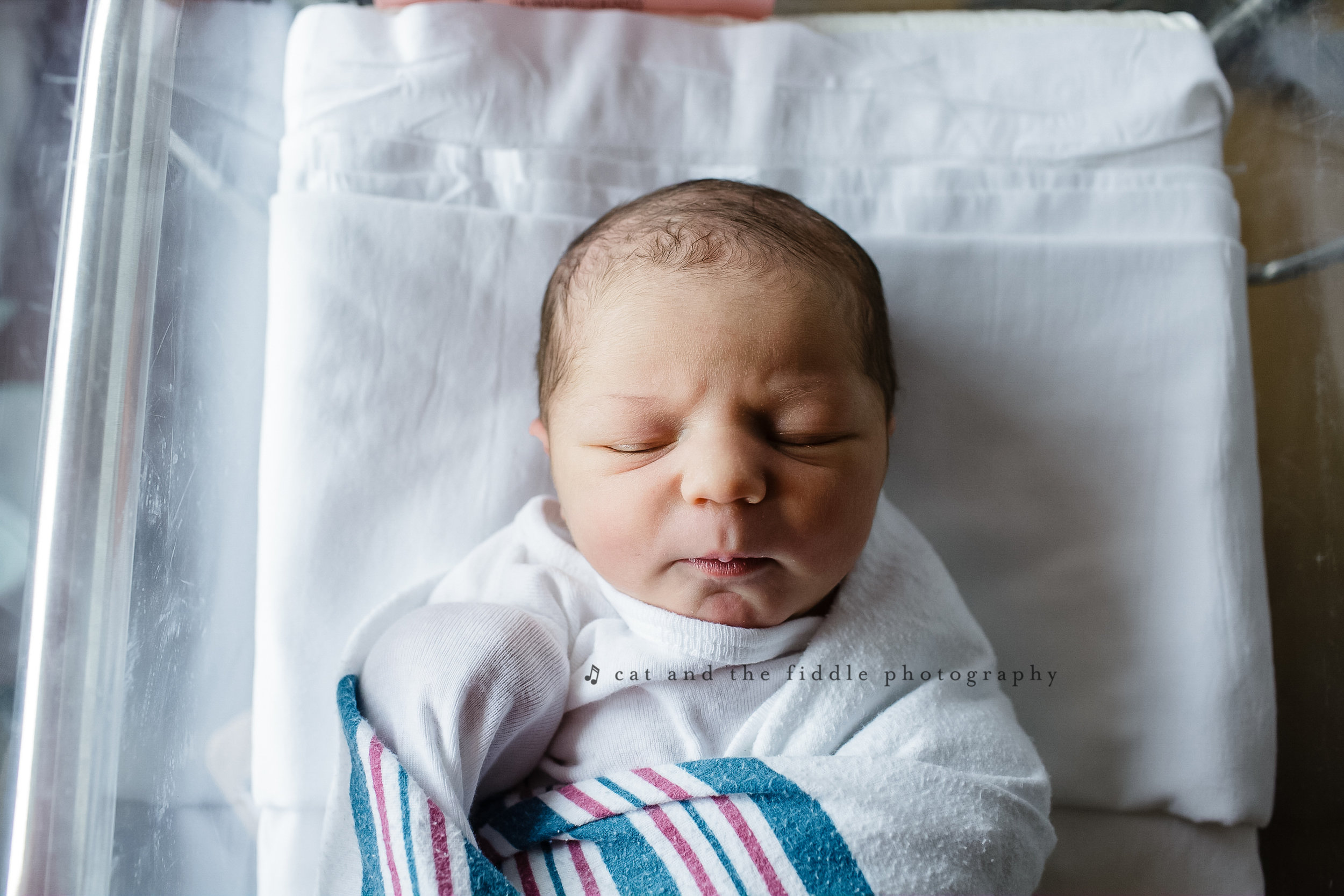 Ellicott City Newborn Photographer 9.jpg