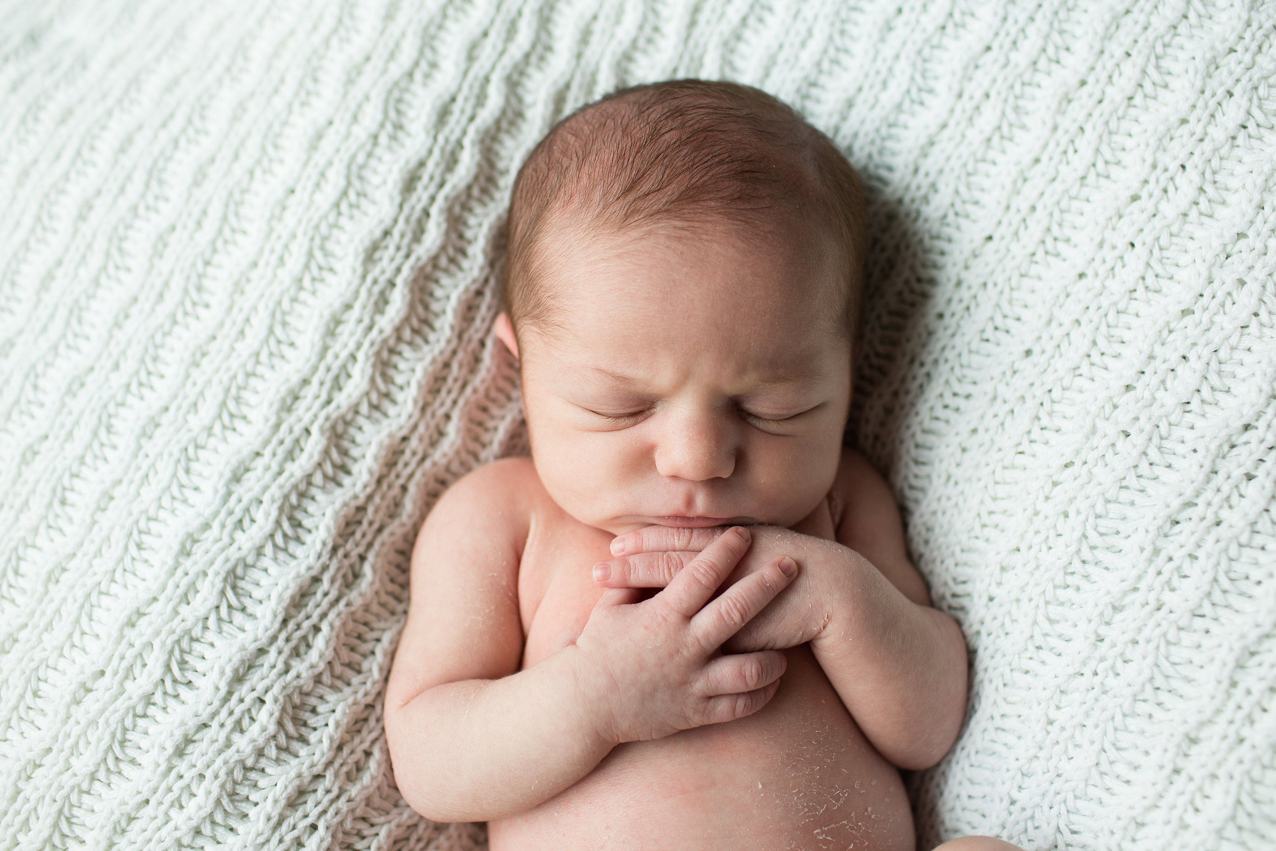 Beauty, Beauty | Ellicott City MD Newborn Photographer | Cat and the Fiddle Photography