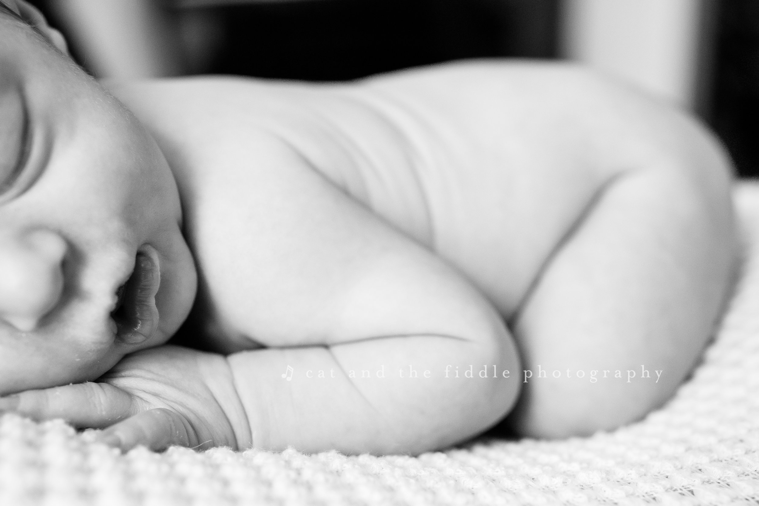 Baltimore Newborn Photographer 13.jpg