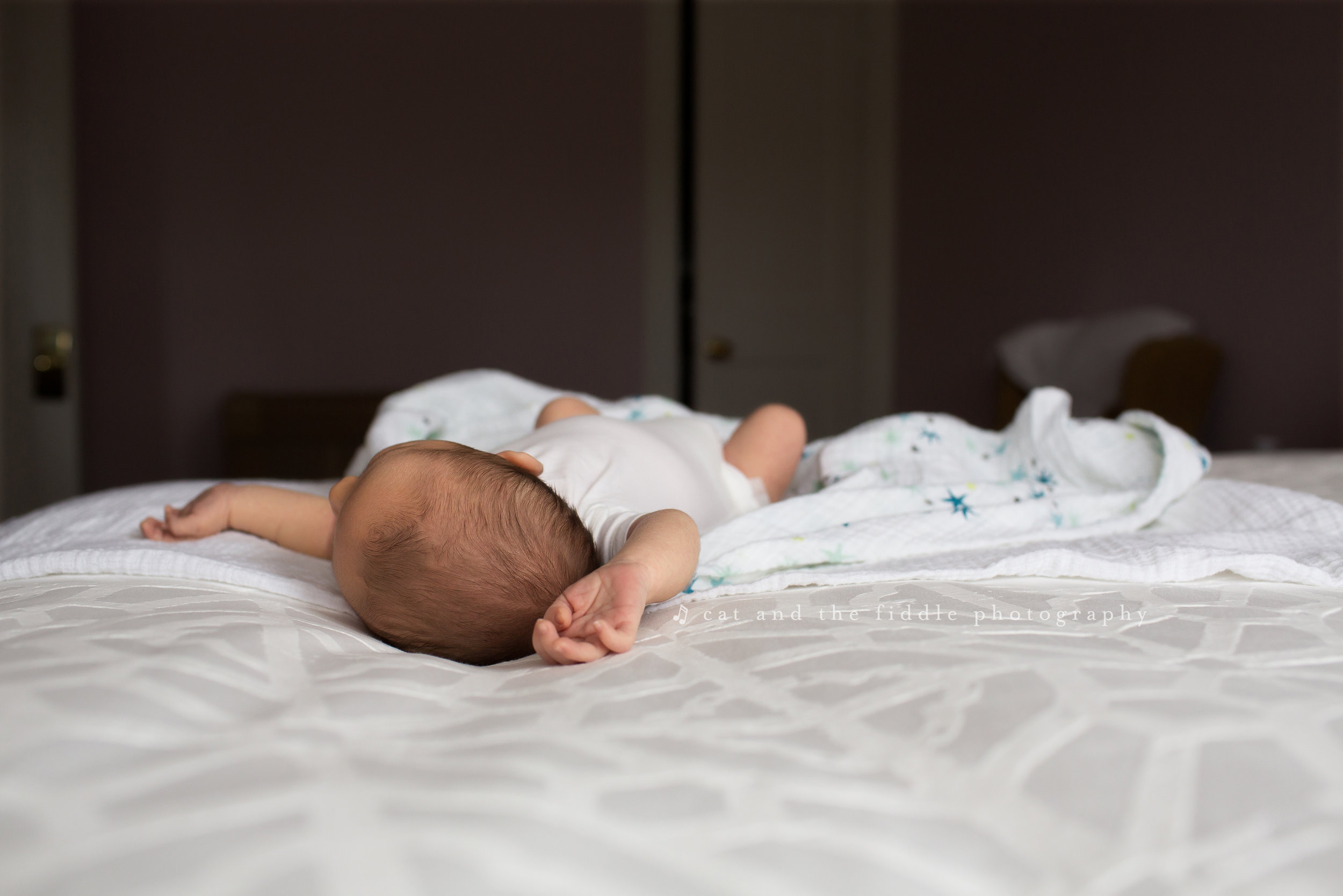 Washington DC Newborn Photographer 3.jpg