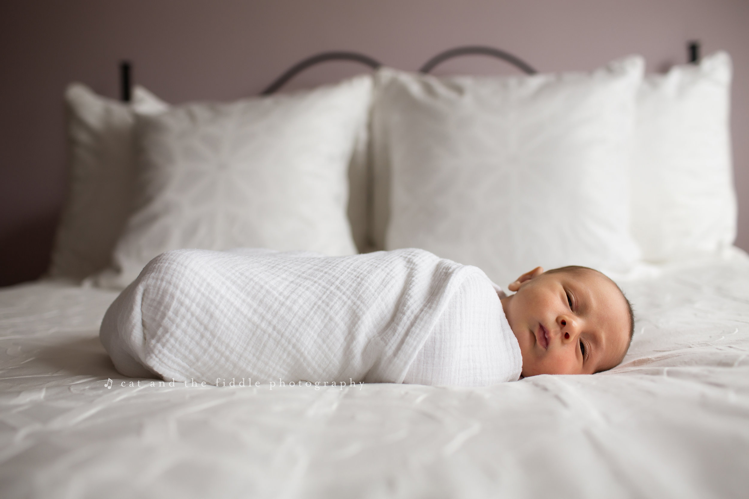 Washington DC Newborn Photographer 5.jpg